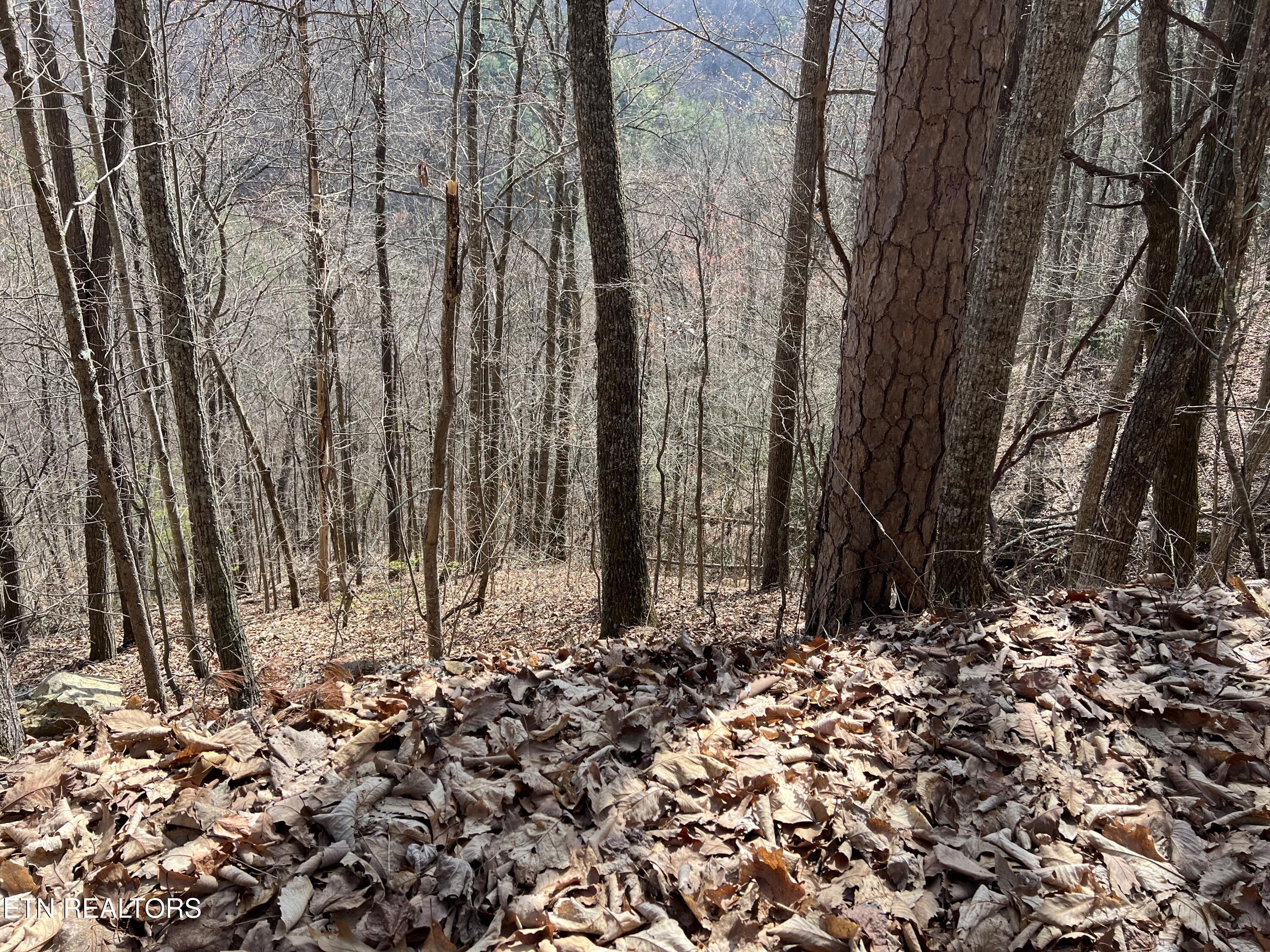 Aintree Drive Sevierville TN 37876