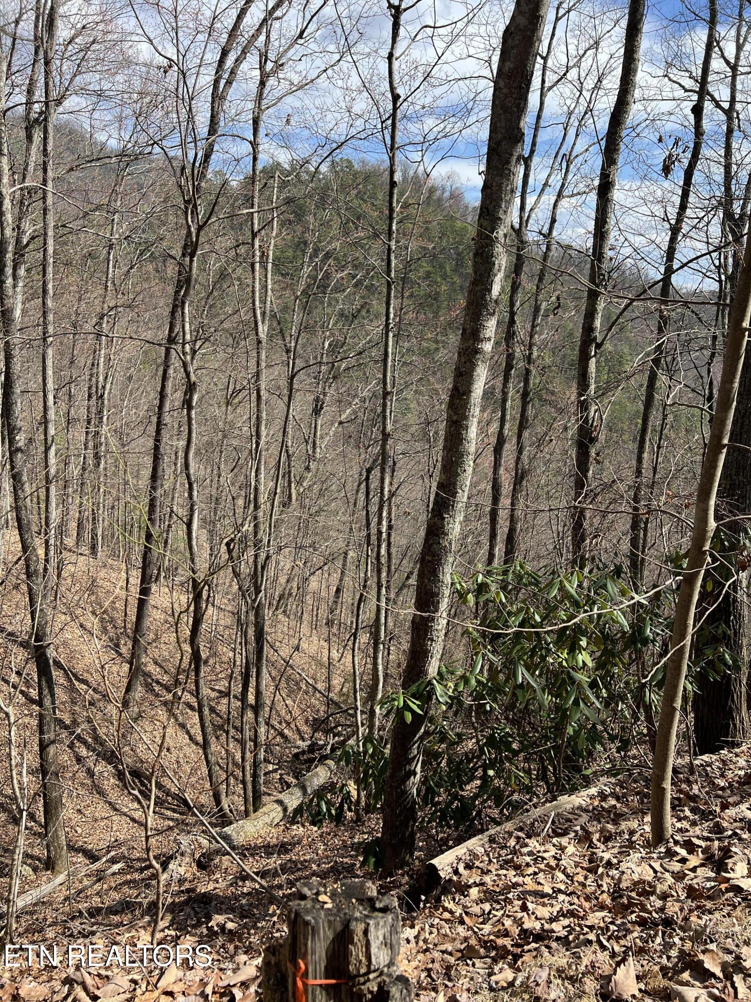Aintree Drive Sevierville TN 37876