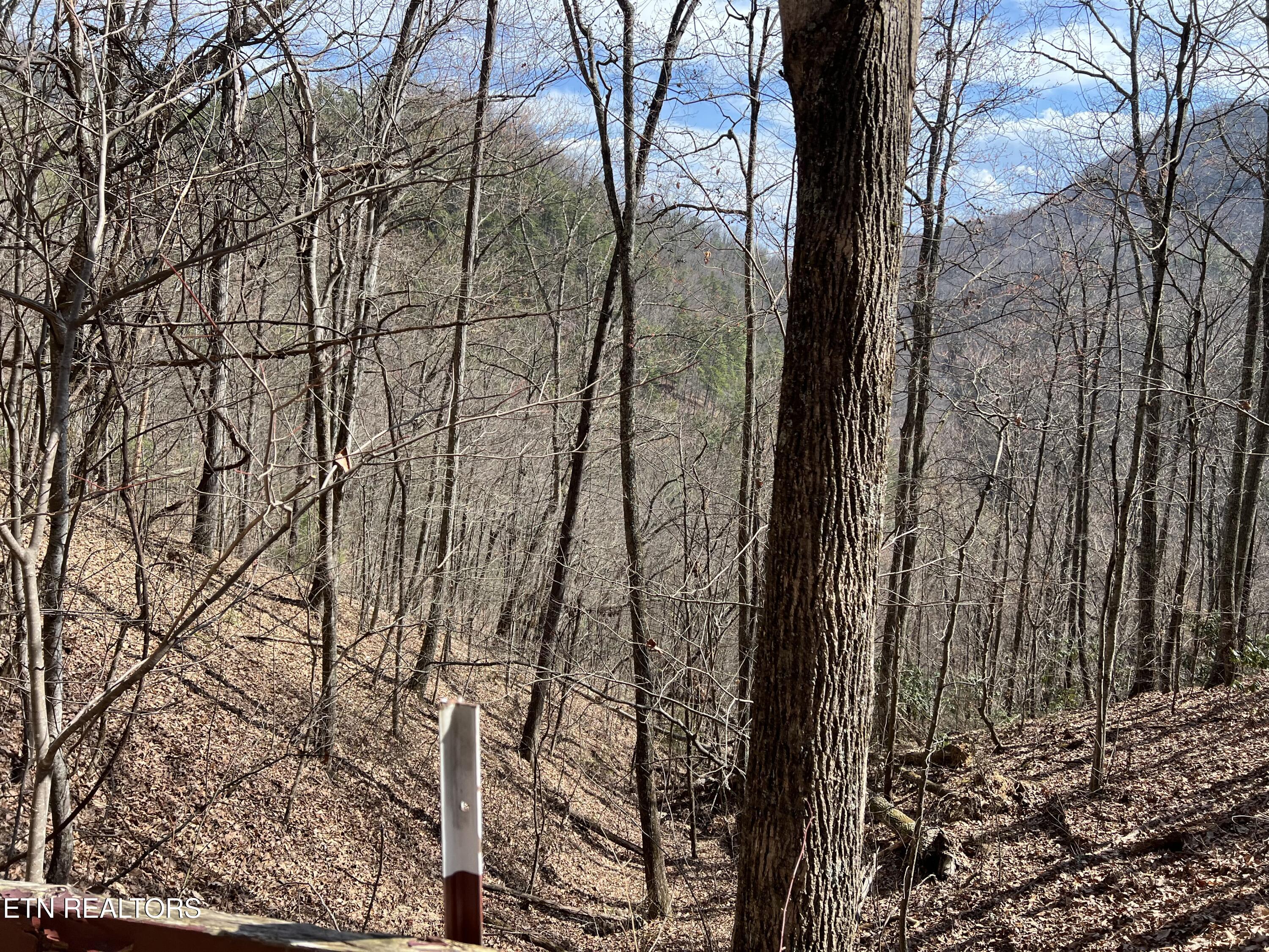 Aintree Drive Sevierville TN 37876