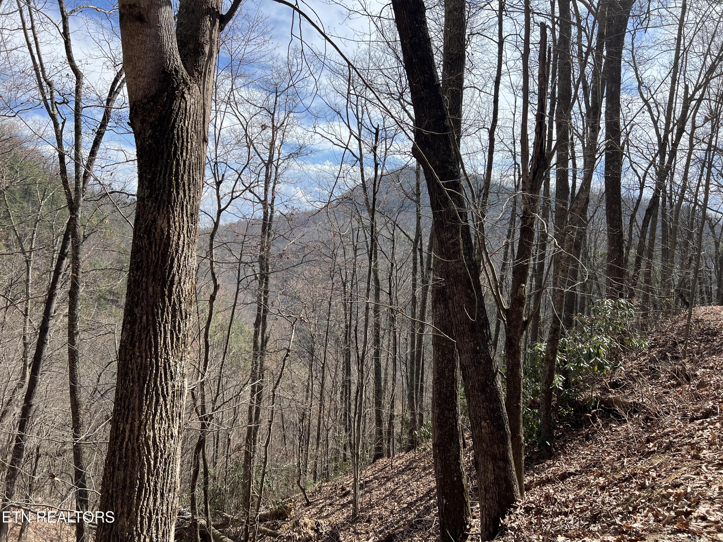 Aintree Drive Sevierville TN 37876