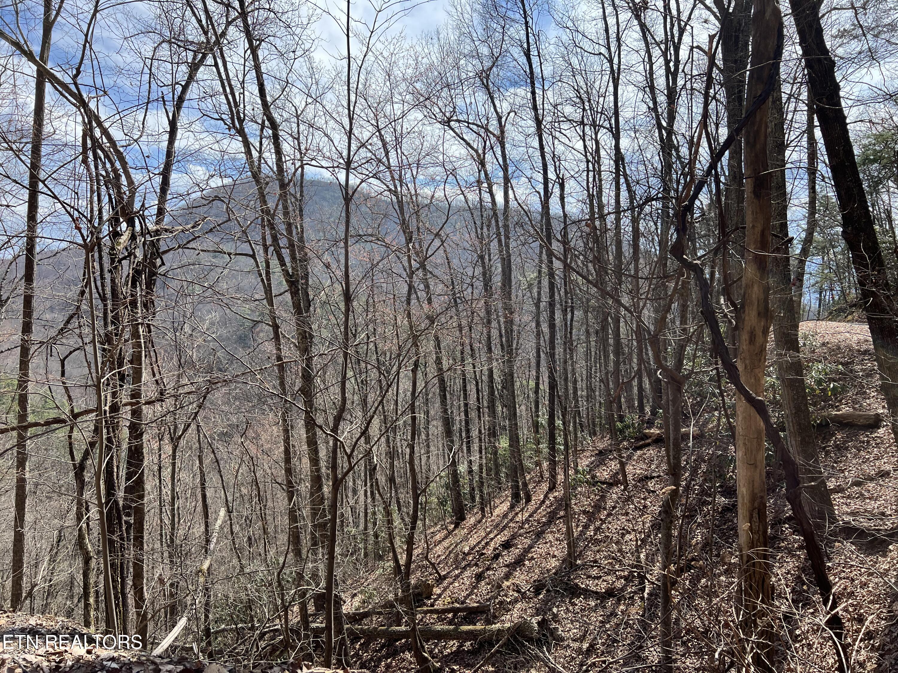 Aintree Drive Sevierville TN 37876
