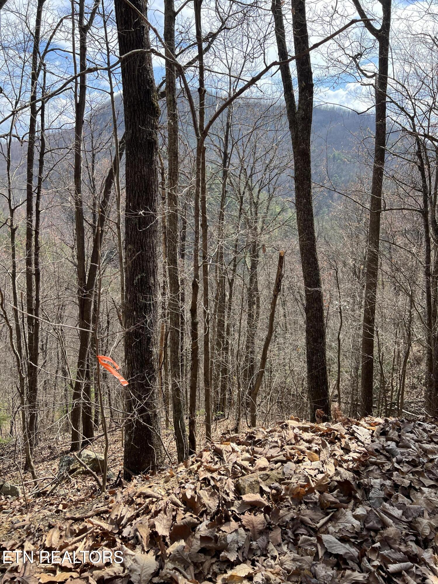 Aintree Drive Sevierville TN 37876