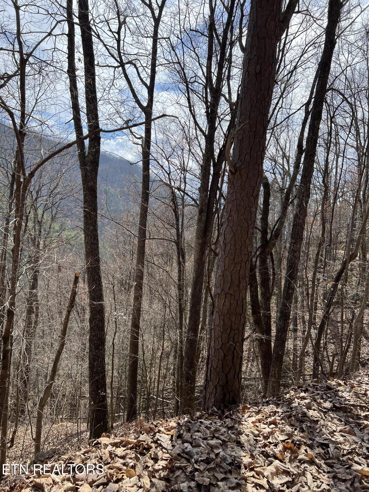 Aintree Drive Sevierville TN 37876