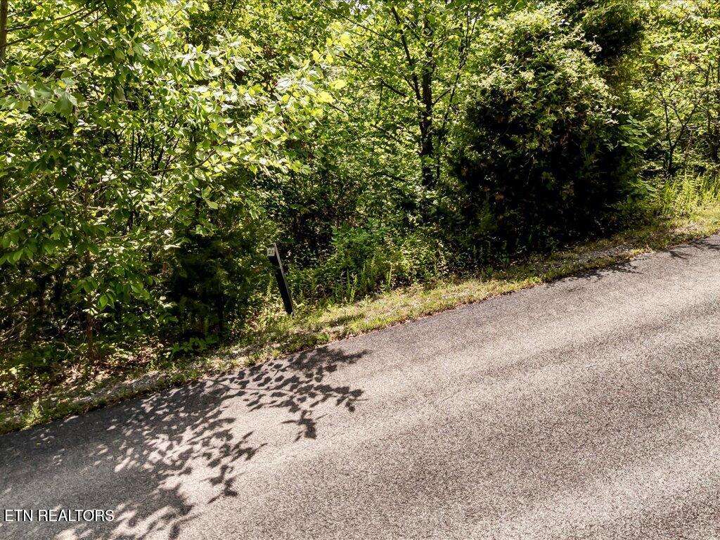 Lot 23 Emerald Pionte Boulevard Sevierville TN 37876