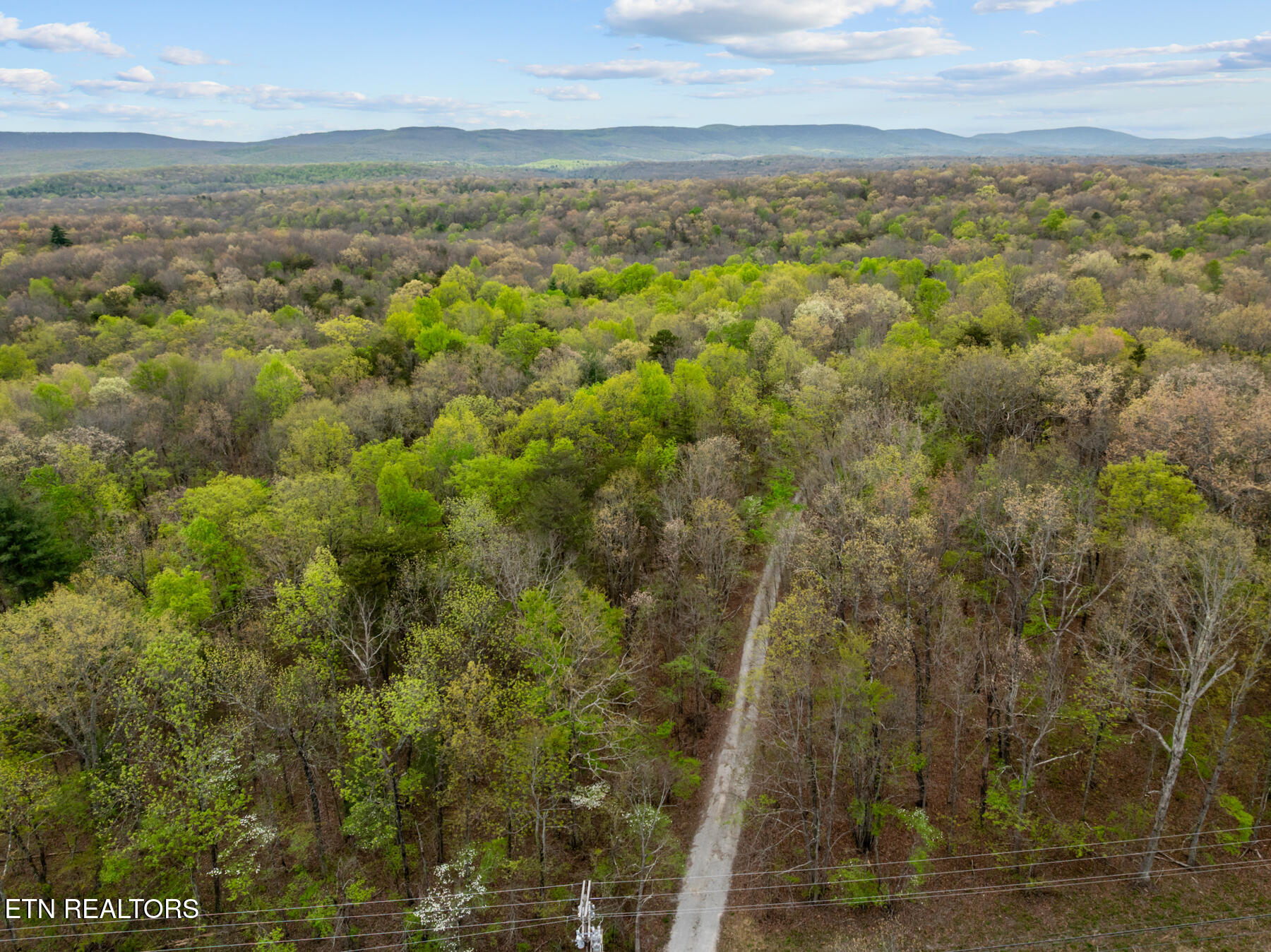0 Peavine Road Crab Orchard TN 37723