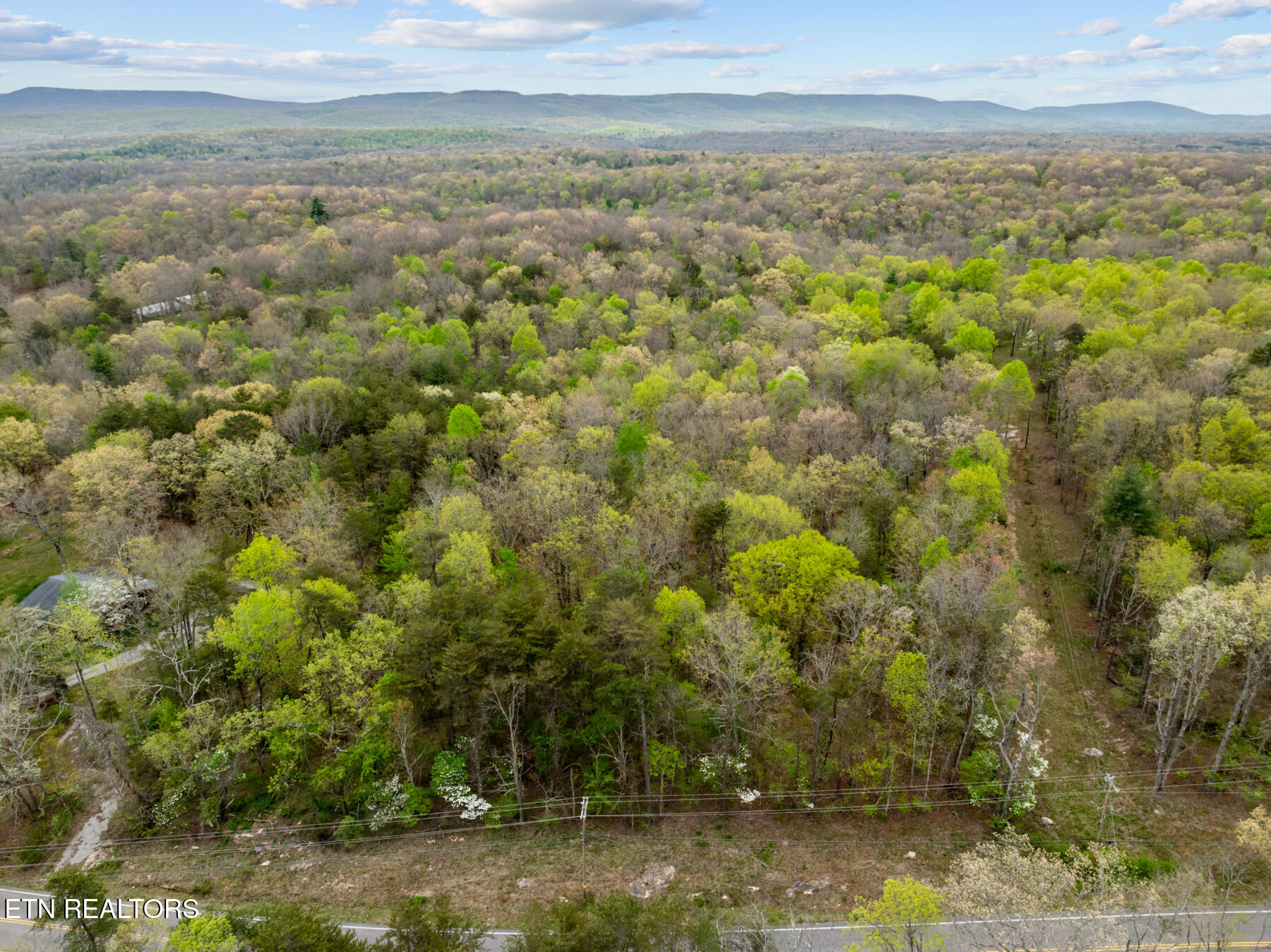 0 Peavine Road Crab Orchard TN 37723