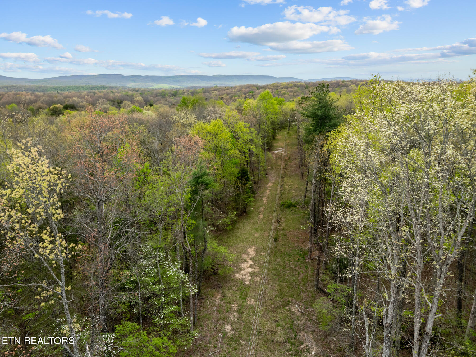 0 Peavine Road Crab Orchard TN 37723