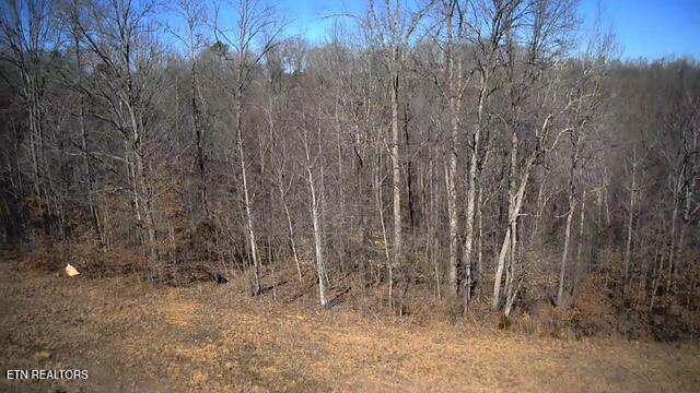 531 Cedar Gate Lane Lafollette TN 37766