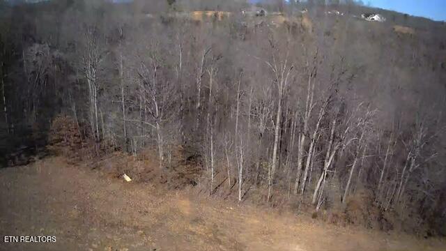 531 Cedar Gate Lane Lafollette TN 37766