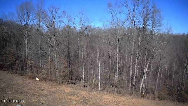 531 Cedar Gate Lane Lafollette TN 37766