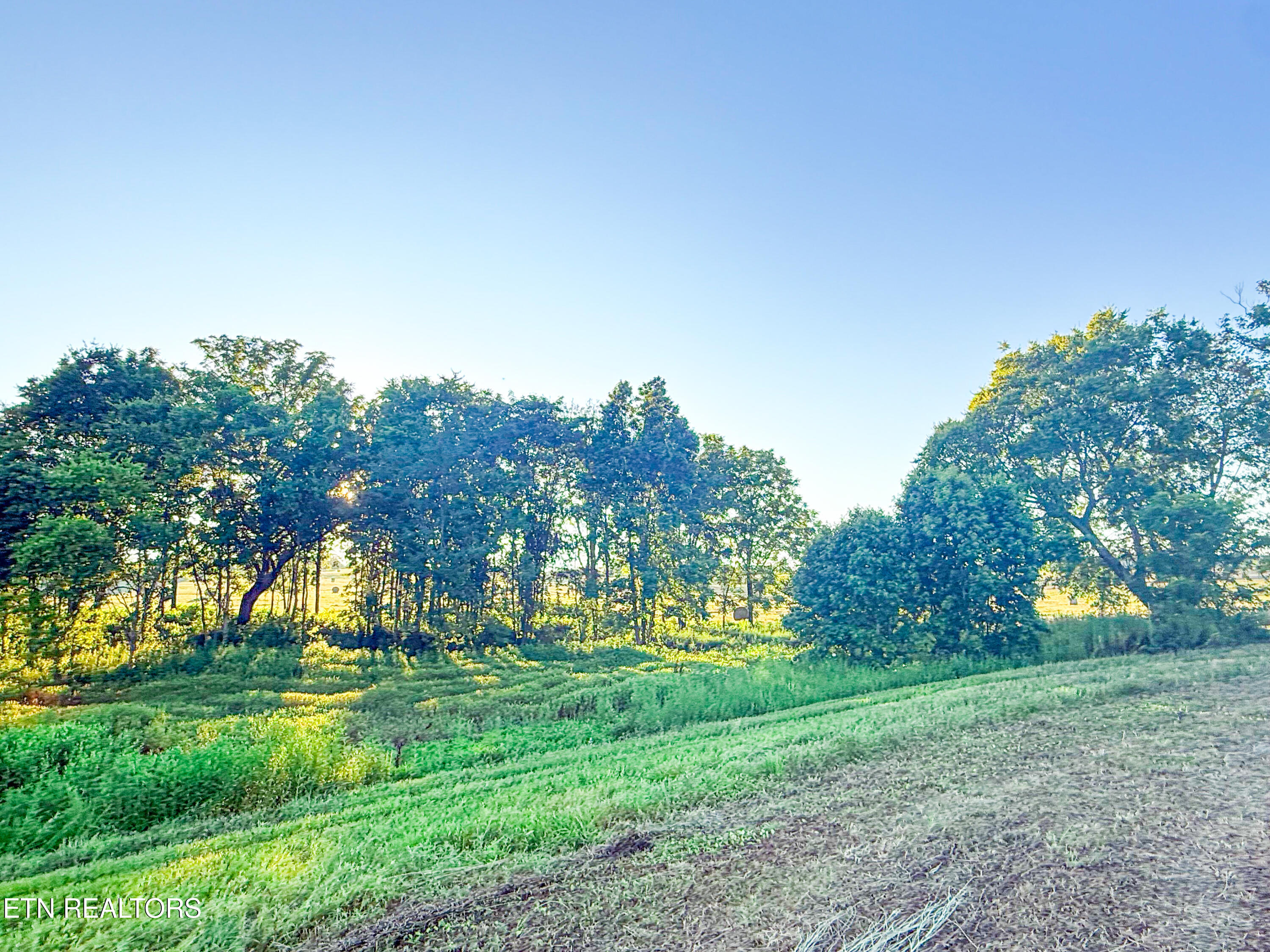 Lot 20 Summerset Drive Talbott TN 37877