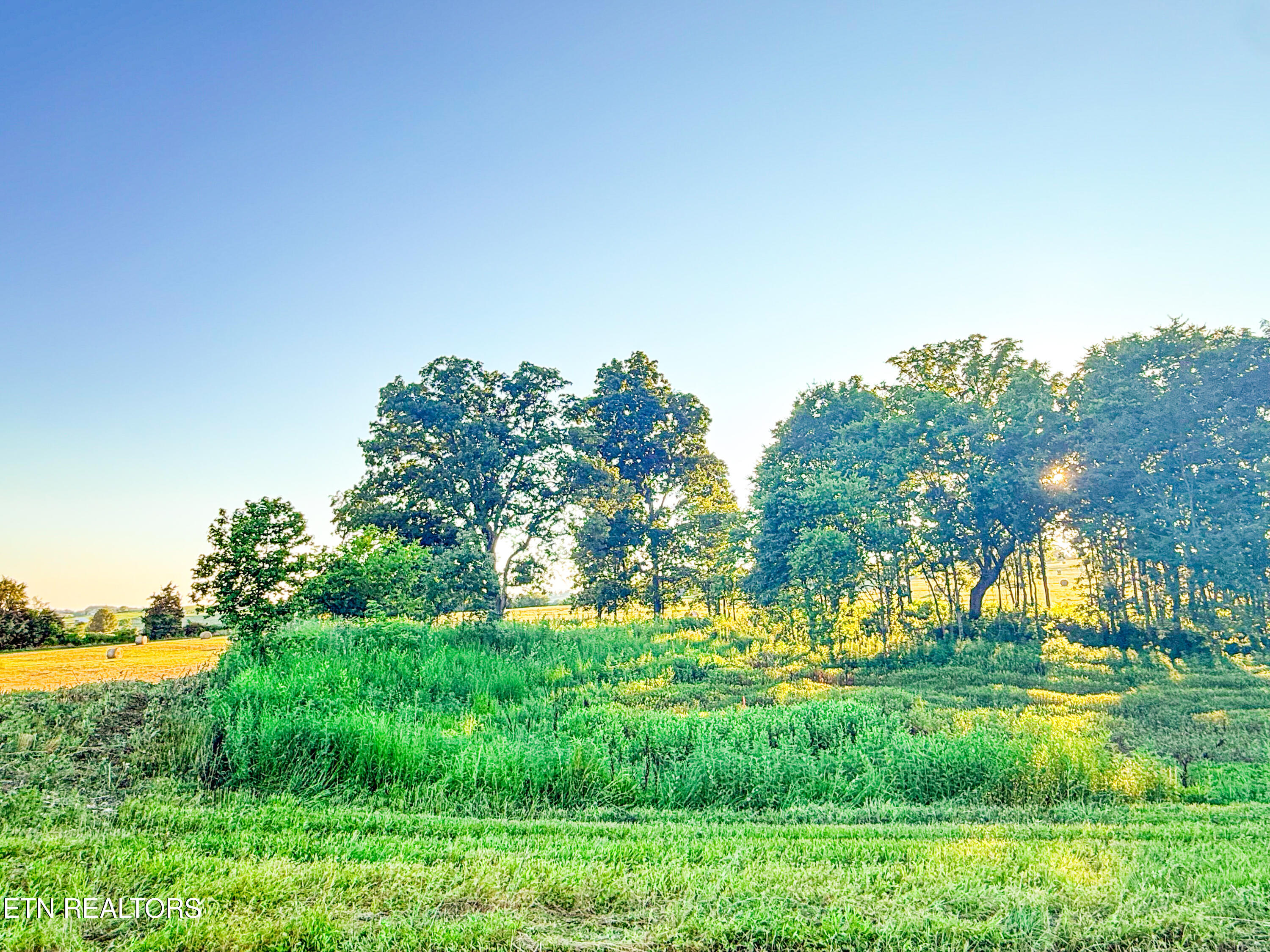 Lot 20 Summerset Drive Talbott TN 37877