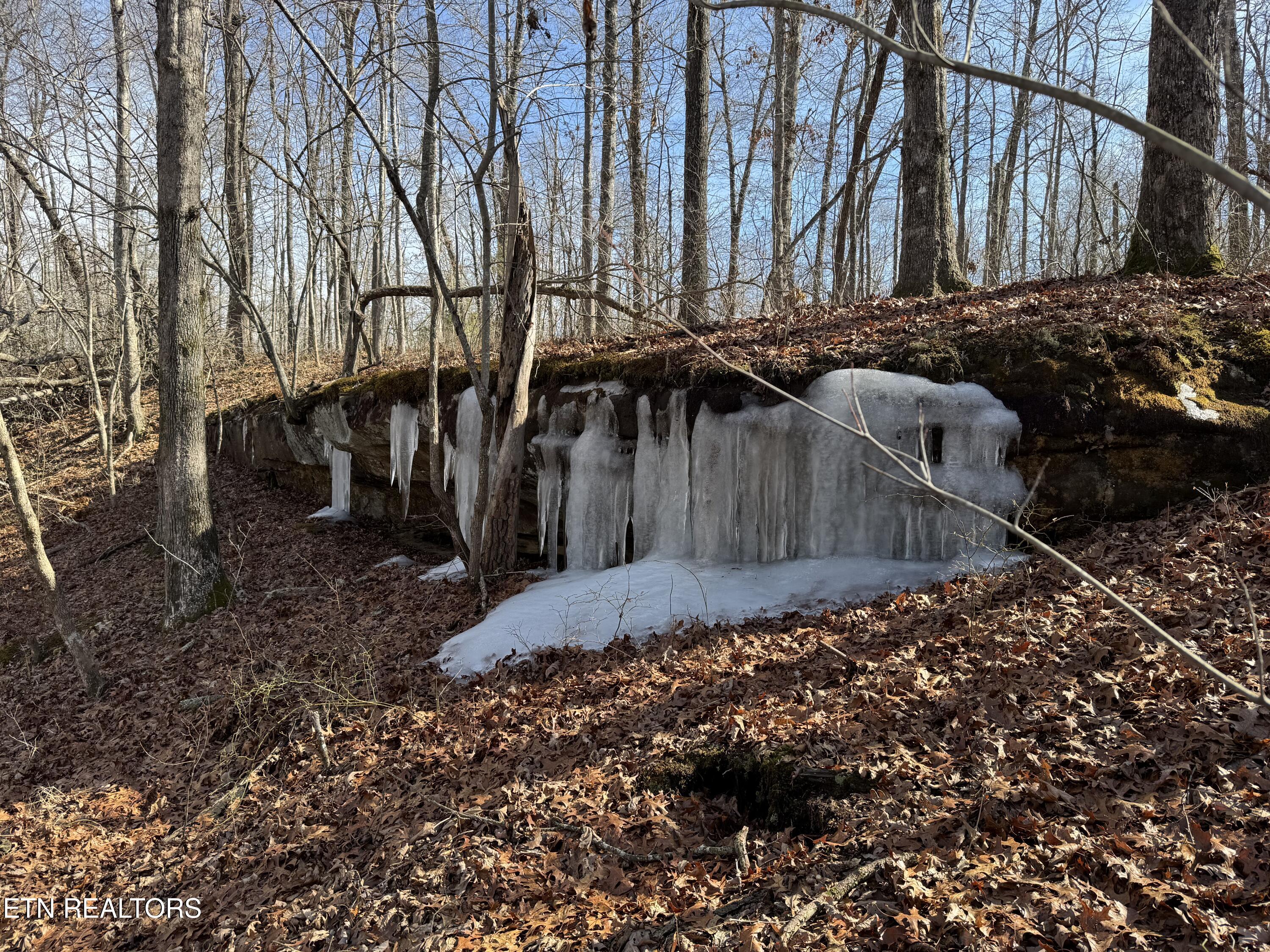 Lot 37 Crystal Point Monterey TN 38574