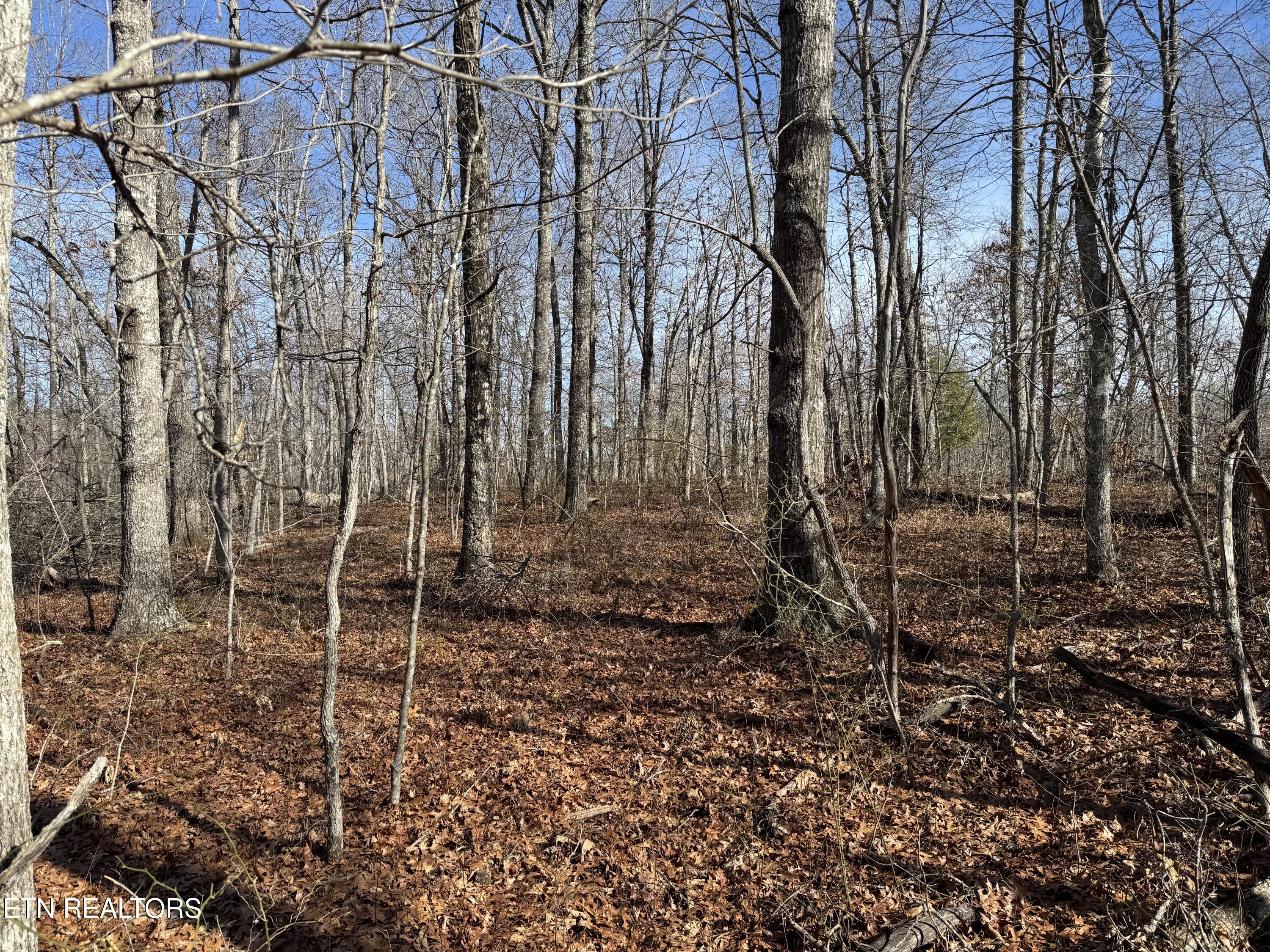 Lot 37 Crystal Point Monterey TN 38574