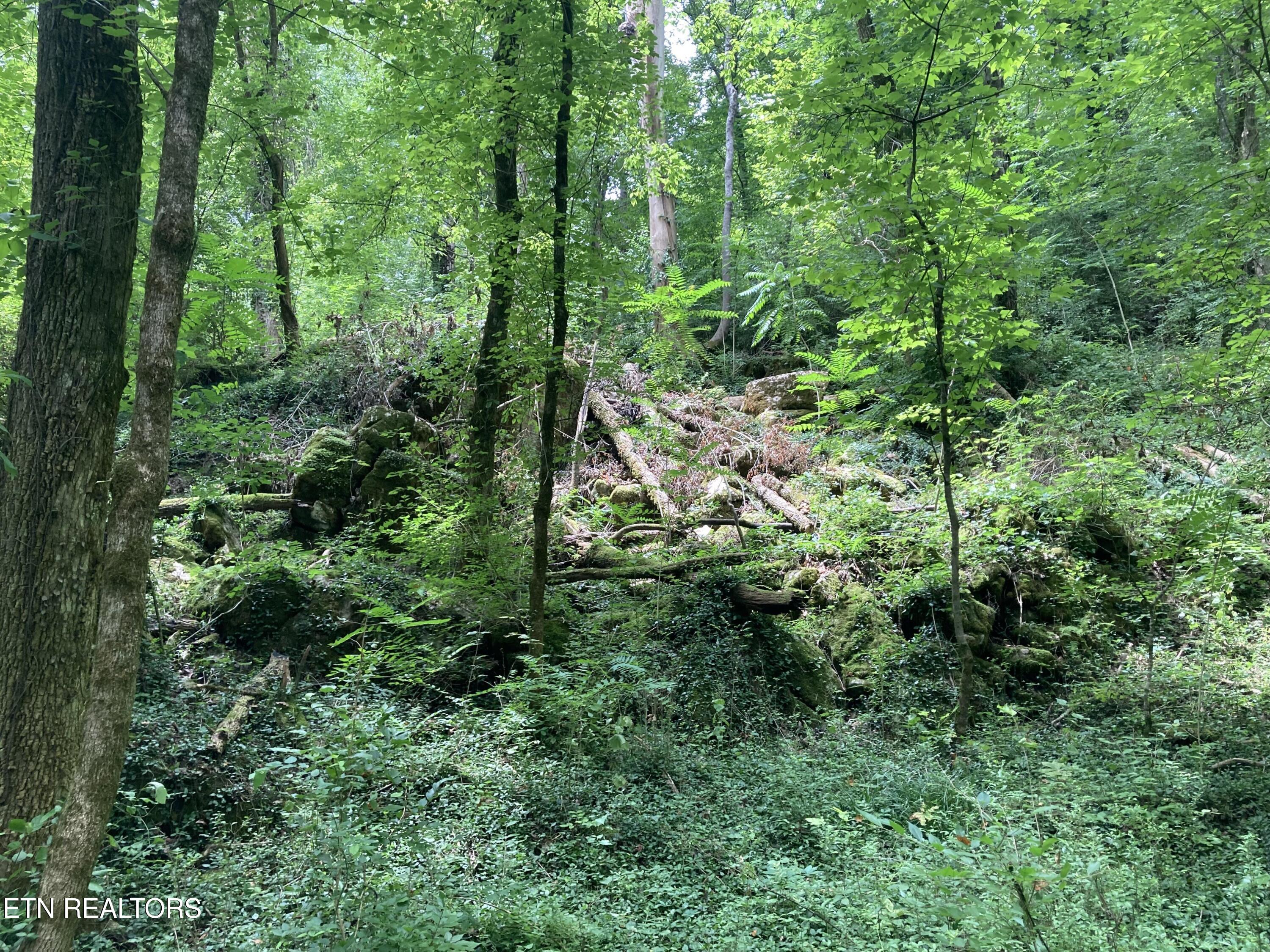 4921 Wise Hills Road Knoxville TN 37920