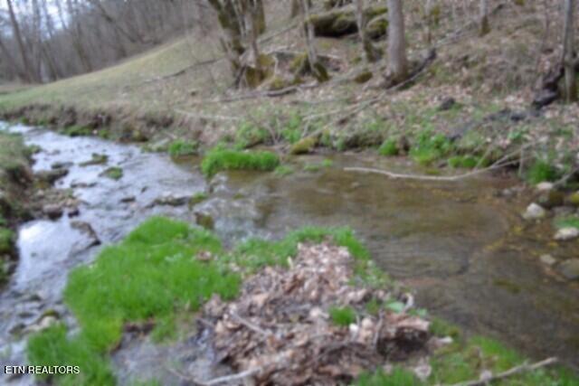 290 Hazel Huffines Lane Whitleyville TN 38588