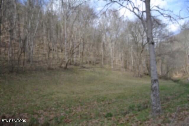 290 Hazel Huffines Lane Whitleyville TN 38588