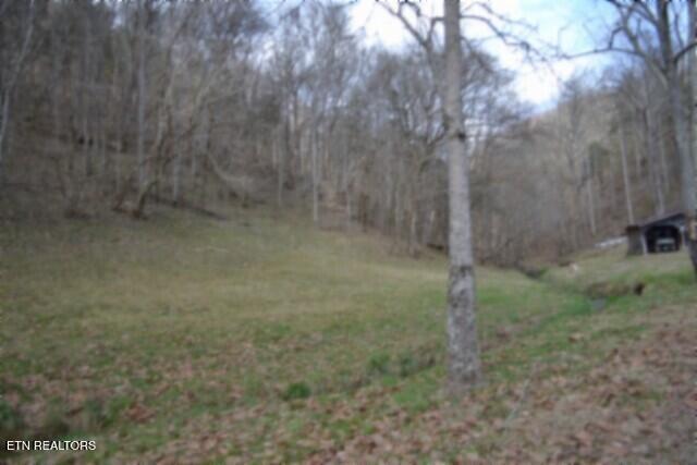 290 Hazel Huffines Lane Whitleyville TN 38588