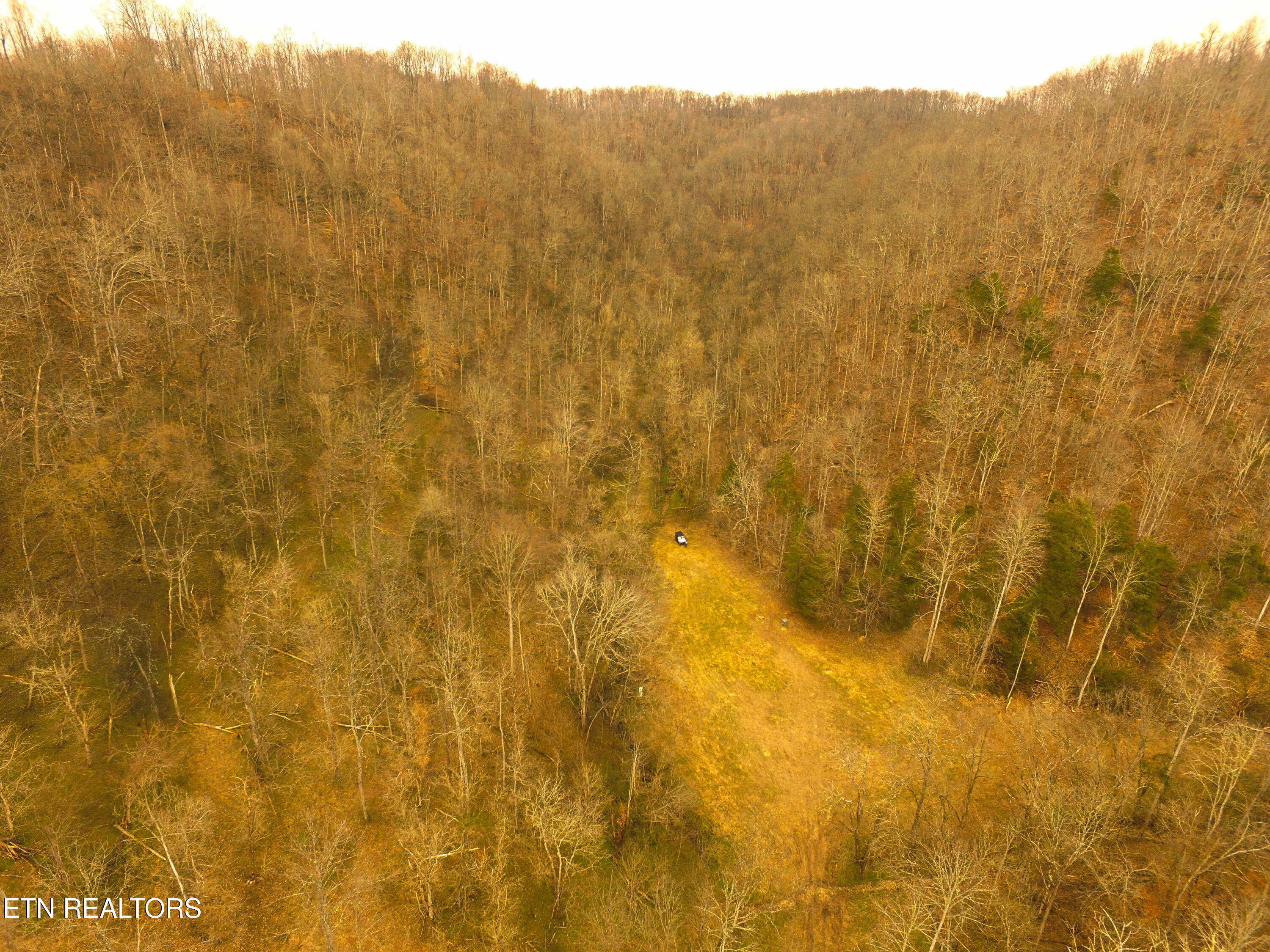 290 Hazel Huffines Lane Whitleyville TN 38588