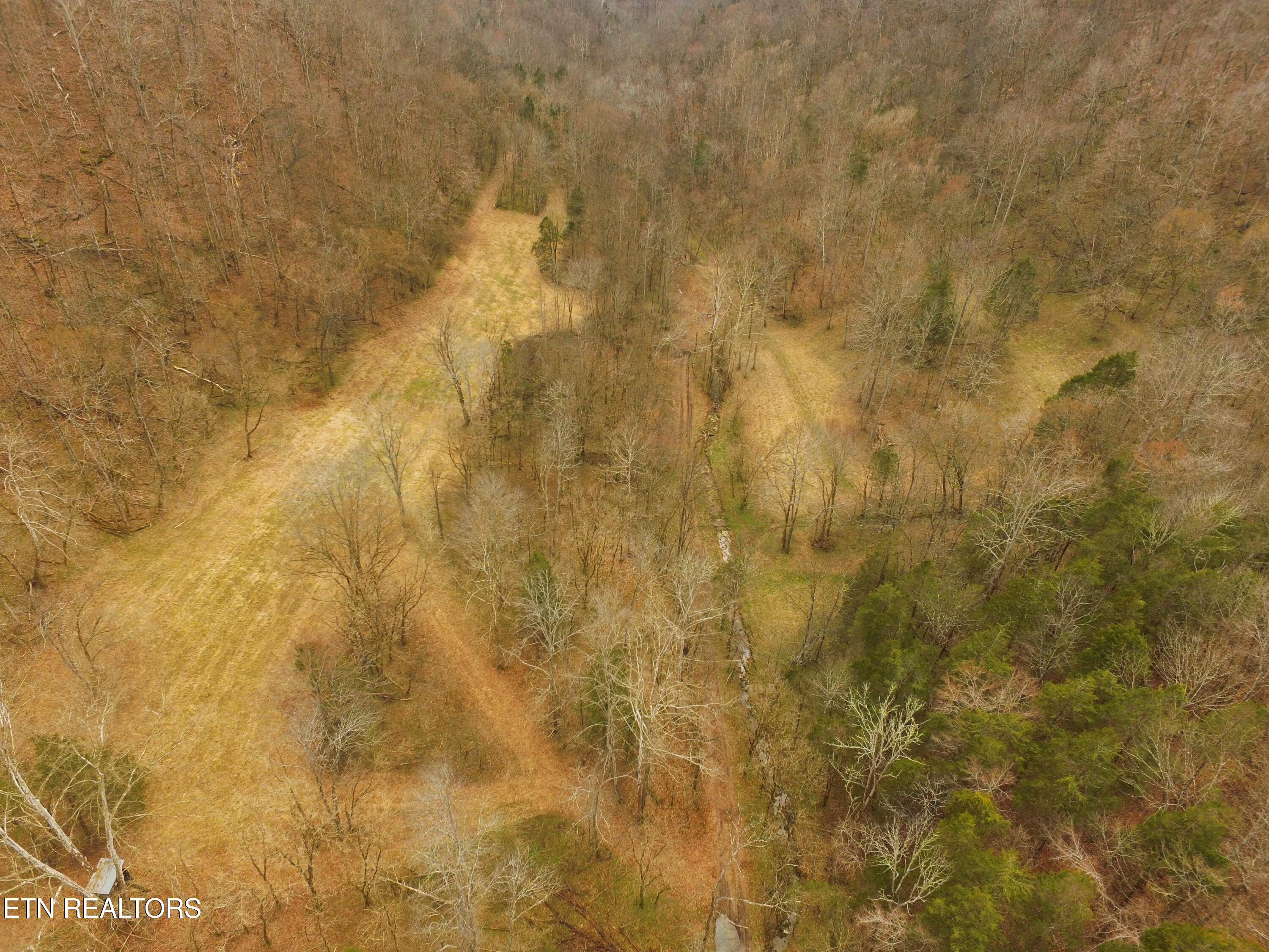 290 Hazel Huffines Lane Whitleyville TN 38588