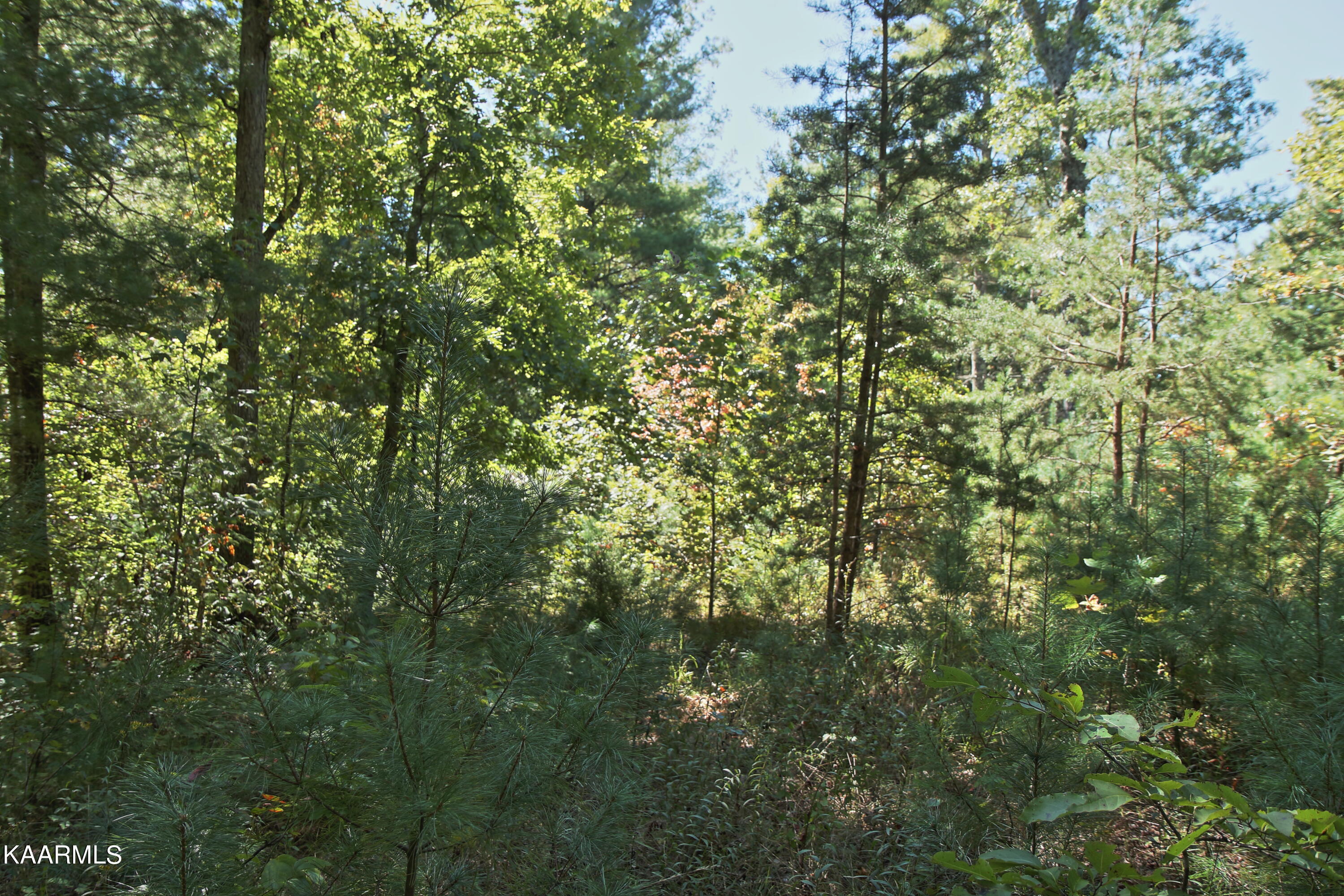 Lot 526 Sun Branch Drive Jamestown TN 38556