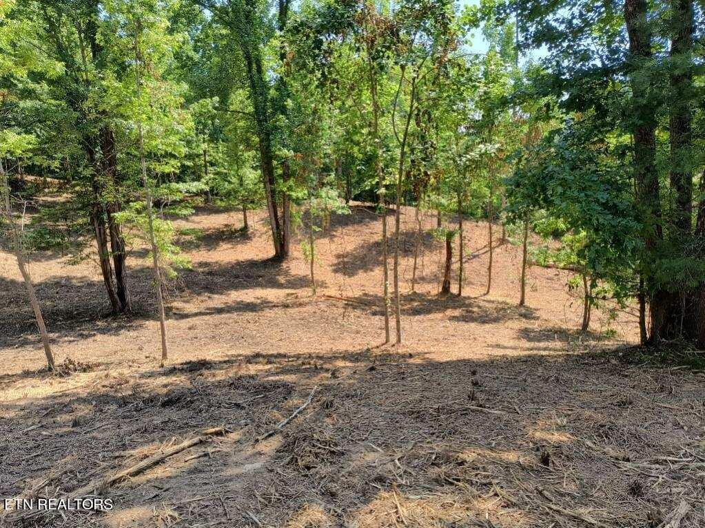 Ashe Cabin Hollow Road Harriman TN 37748