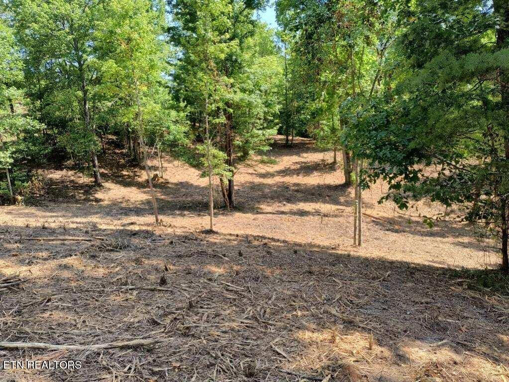 Ashe Cabin Hollow Road Harriman TN 37748