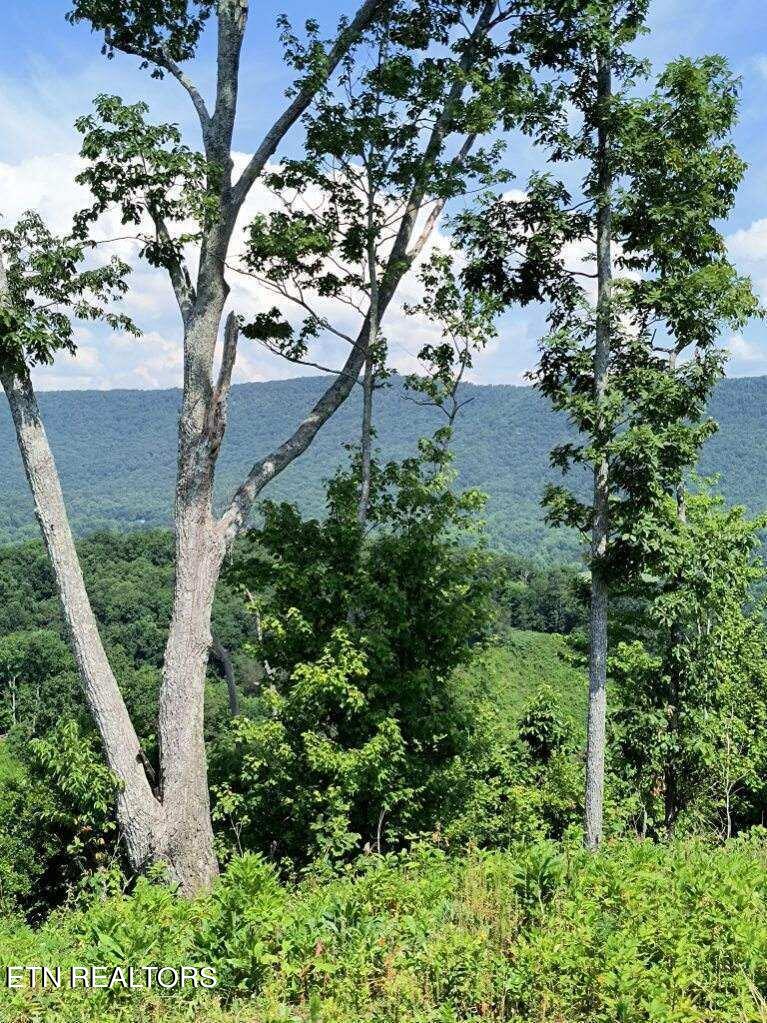 Ashe Cabin Hollow Road Harriman TN 37748