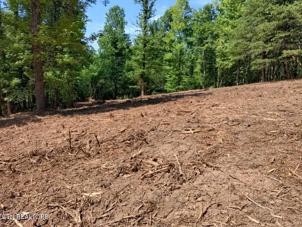Ashe Cabin Hollow Road Harriman TN 37748
