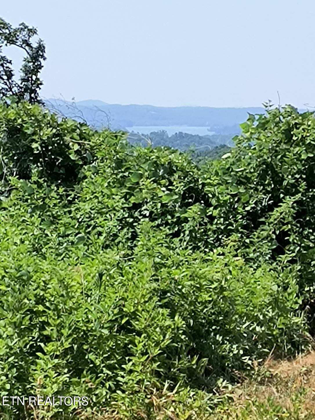 Ashe Cabin Hollow Road Harriman TN 37748