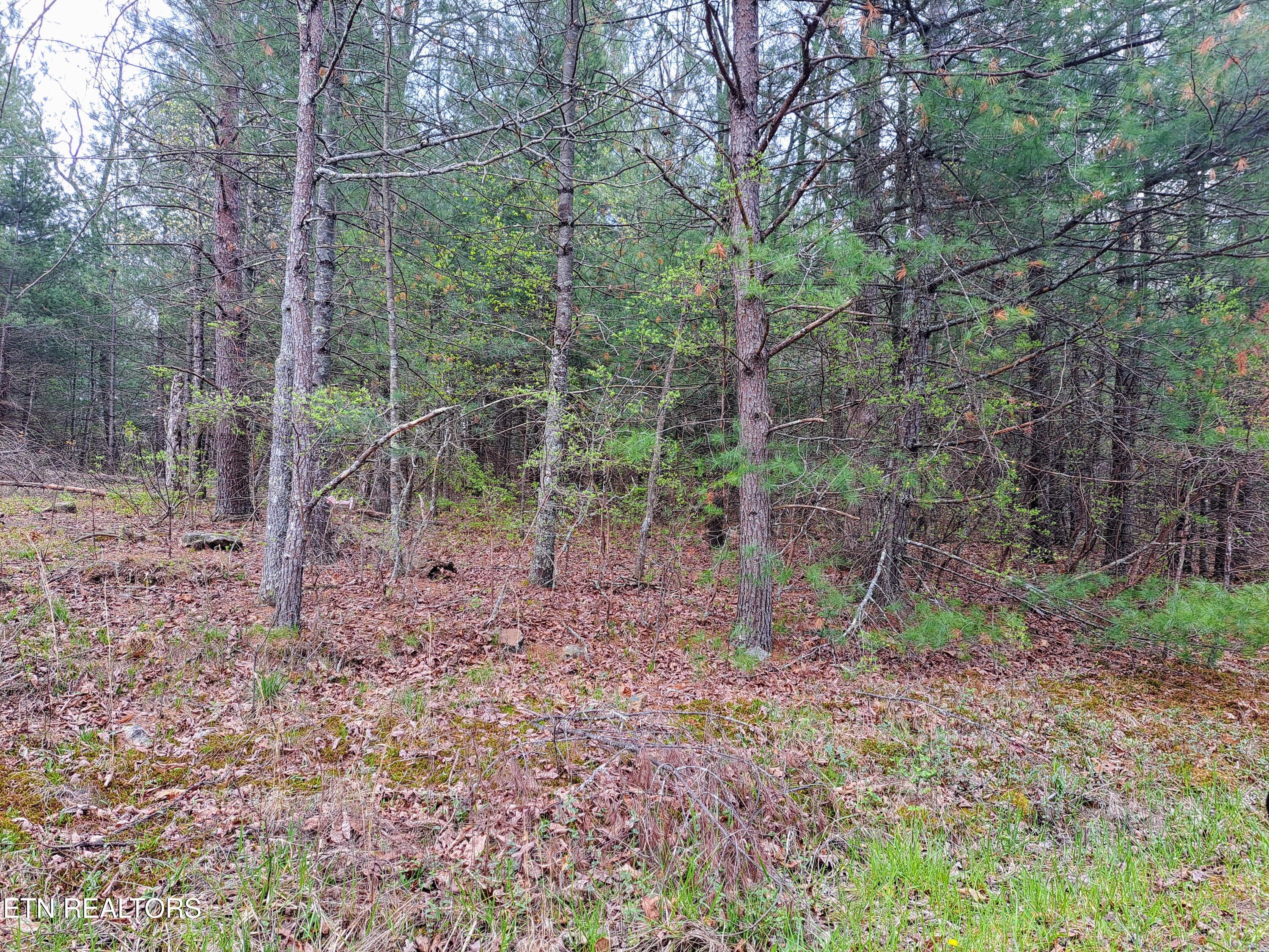 927 Paola Drive Crossville TN 38572