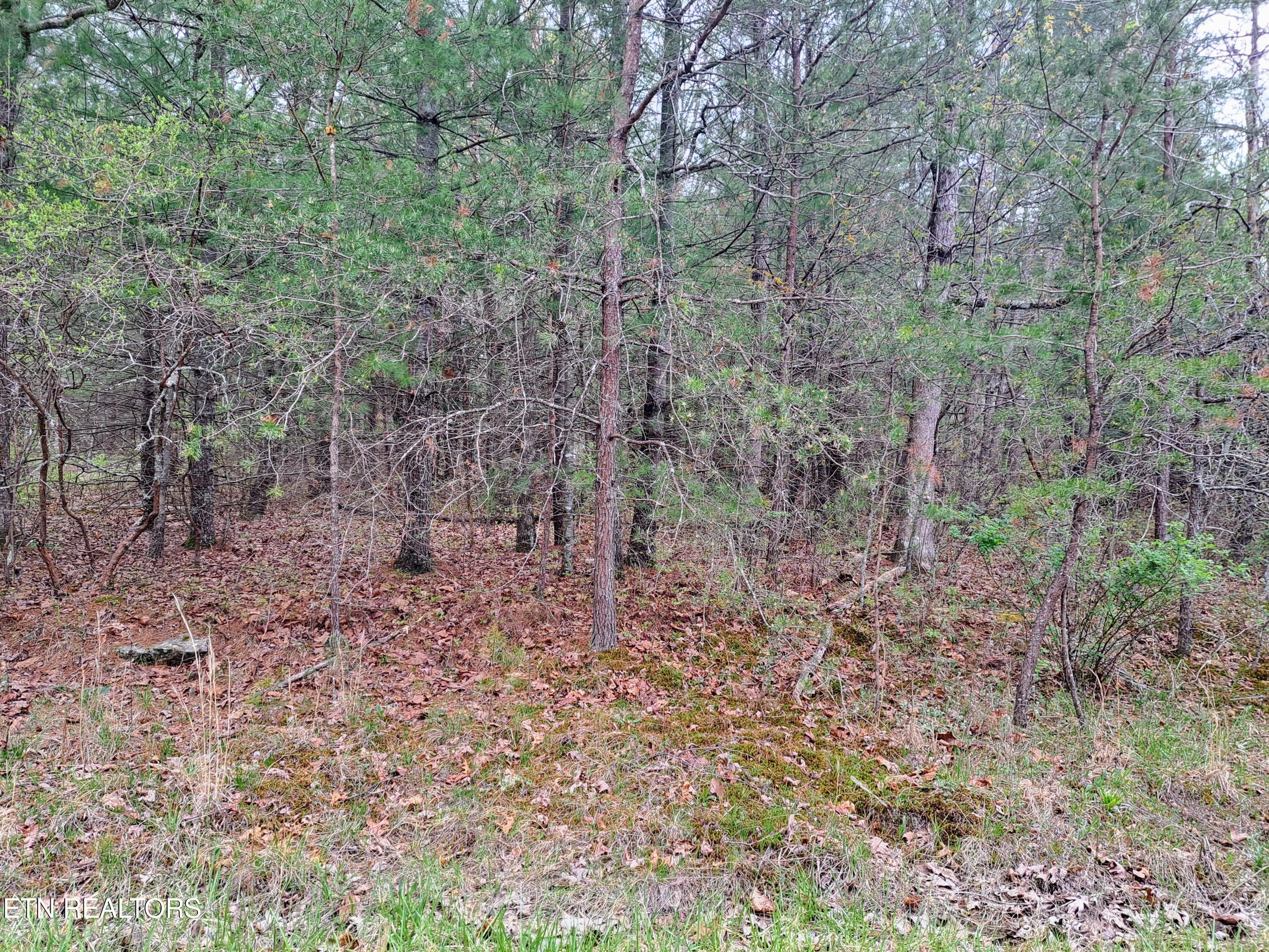 927 Paola Drive Crossville TN 38572