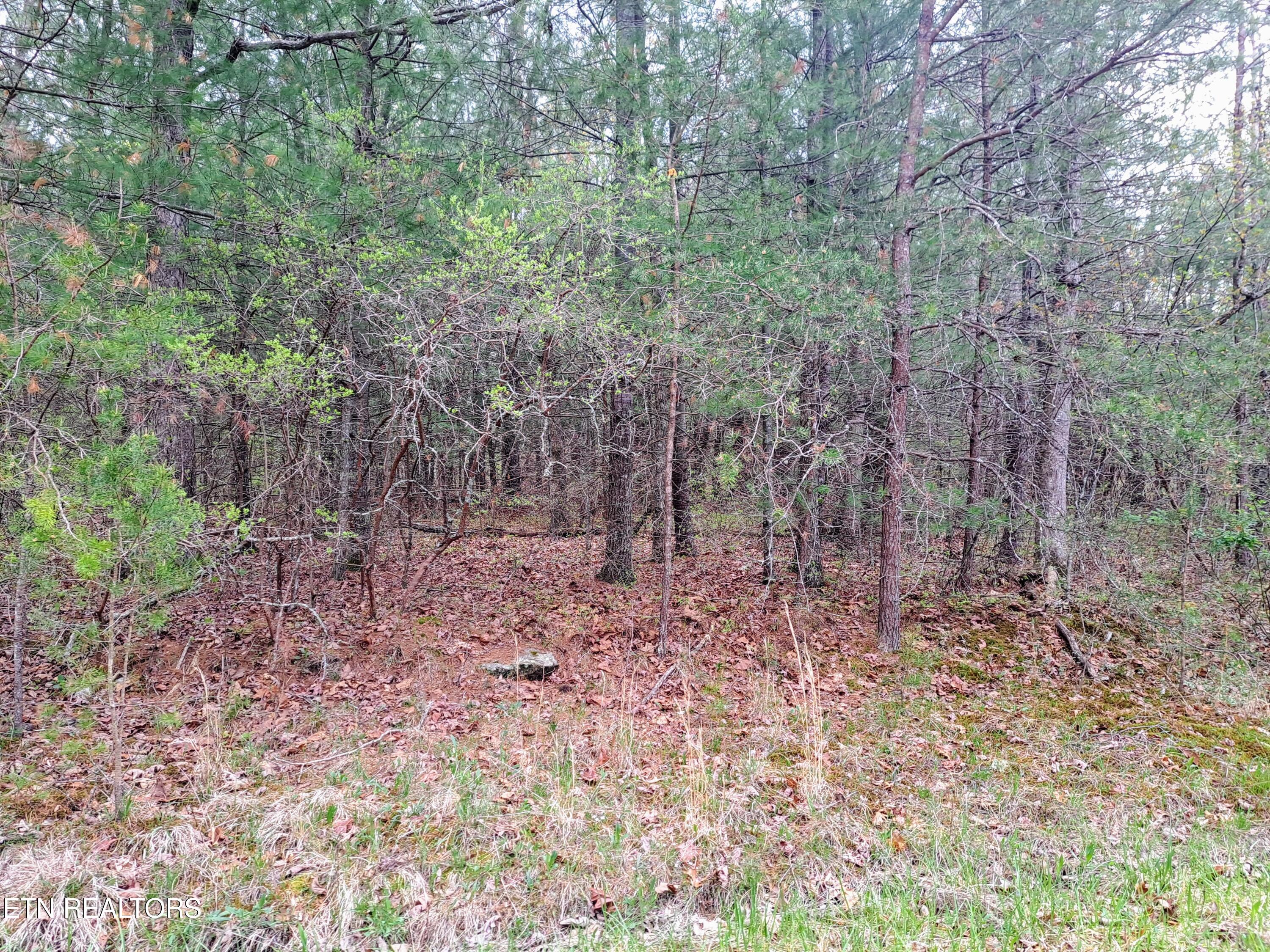 927 Paola Drive Crossville TN 38572
