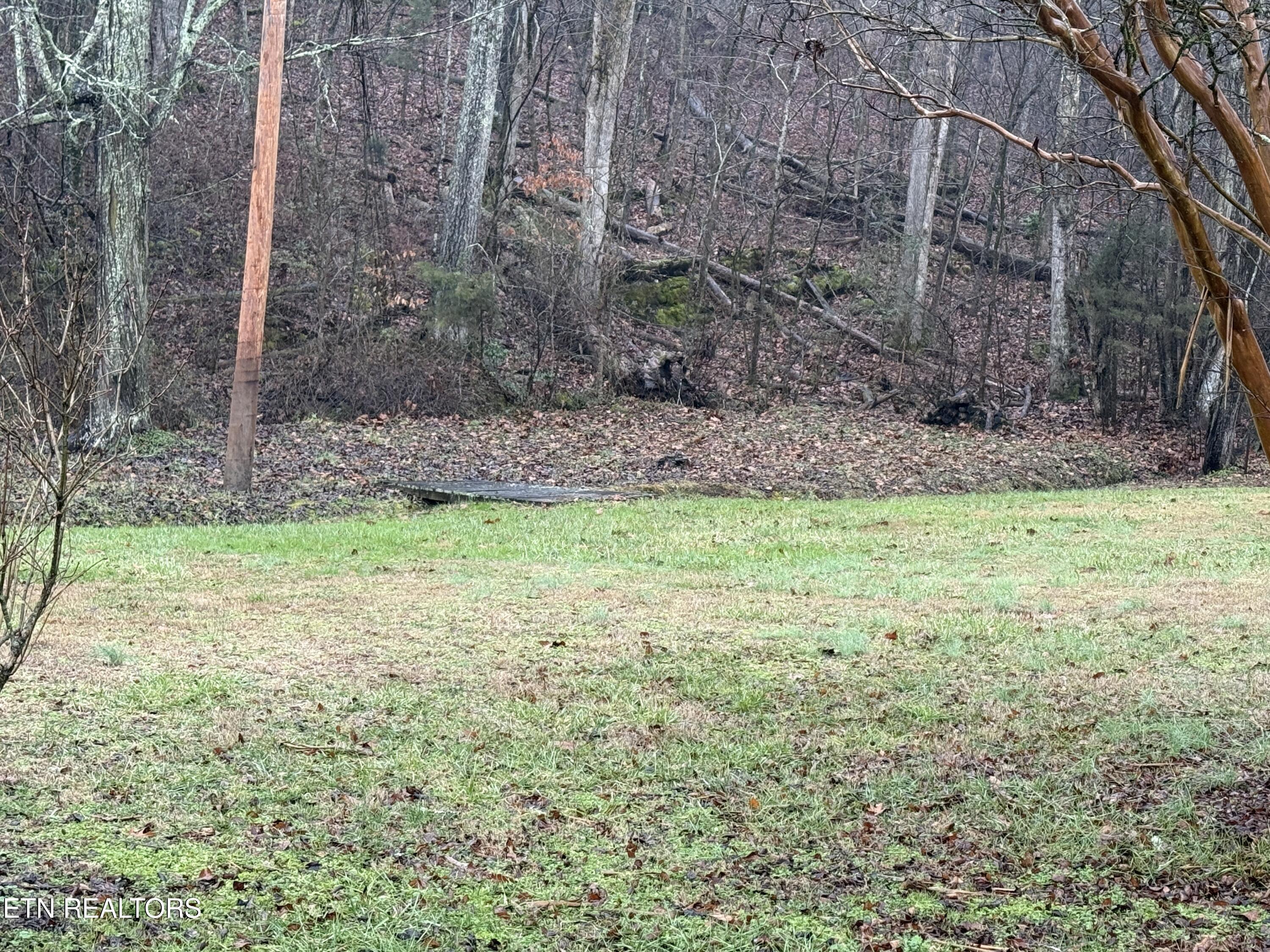 117 Old Buck Creek Road Kingston TN 37763