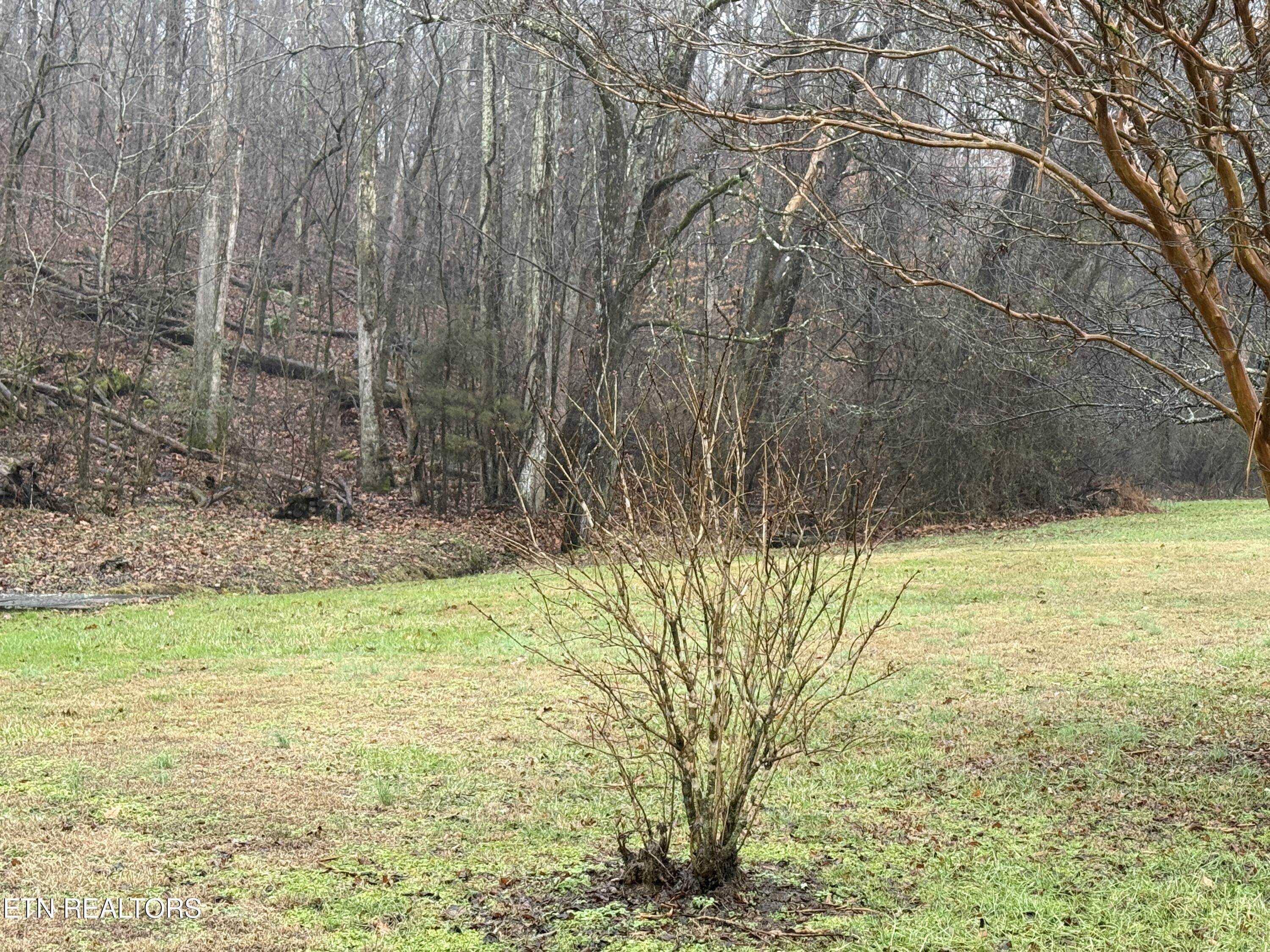 117 Old Buck Creek Road Kingston TN 37763