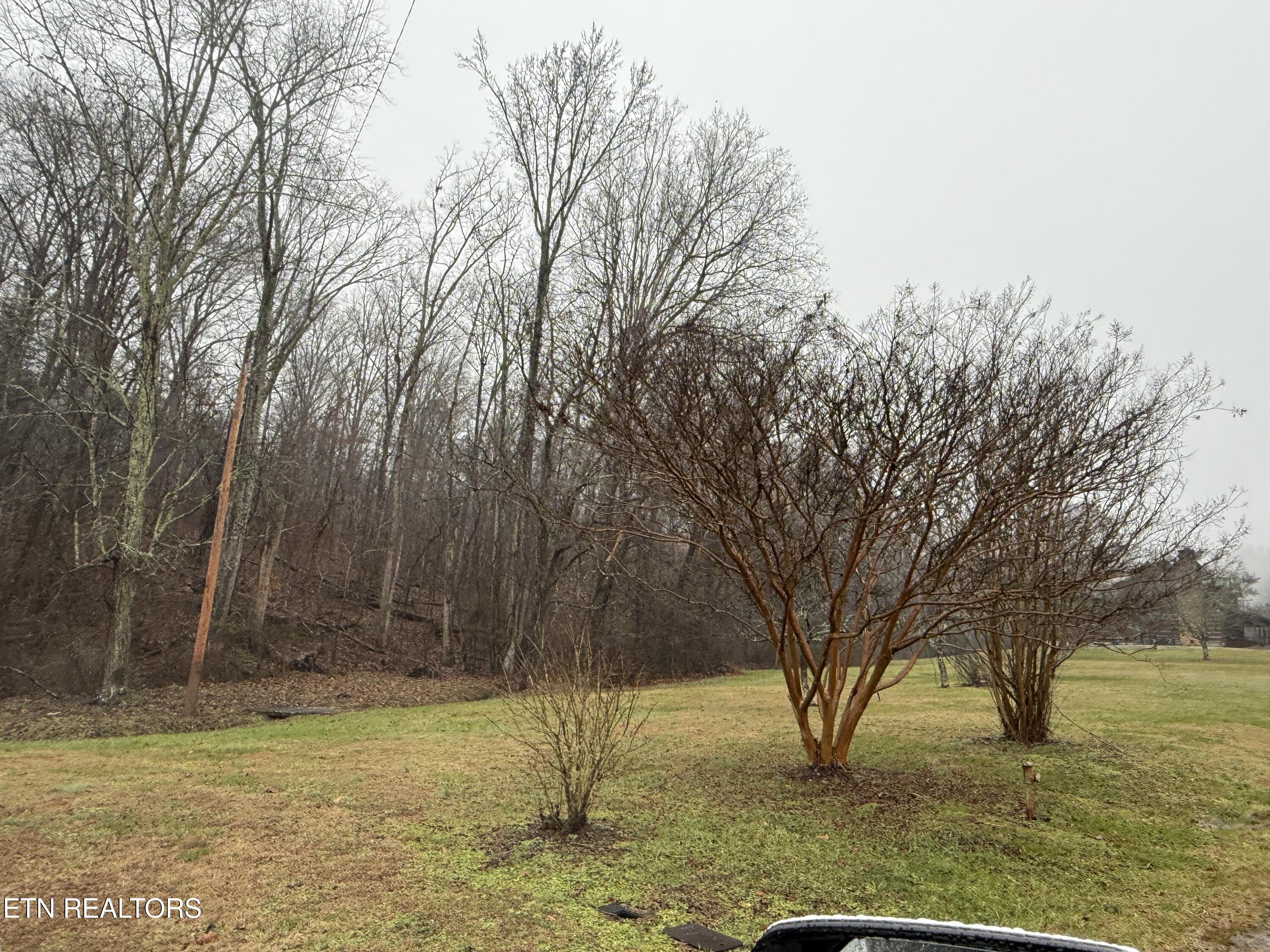 117 Old Buck Creek Road Kingston TN 37763