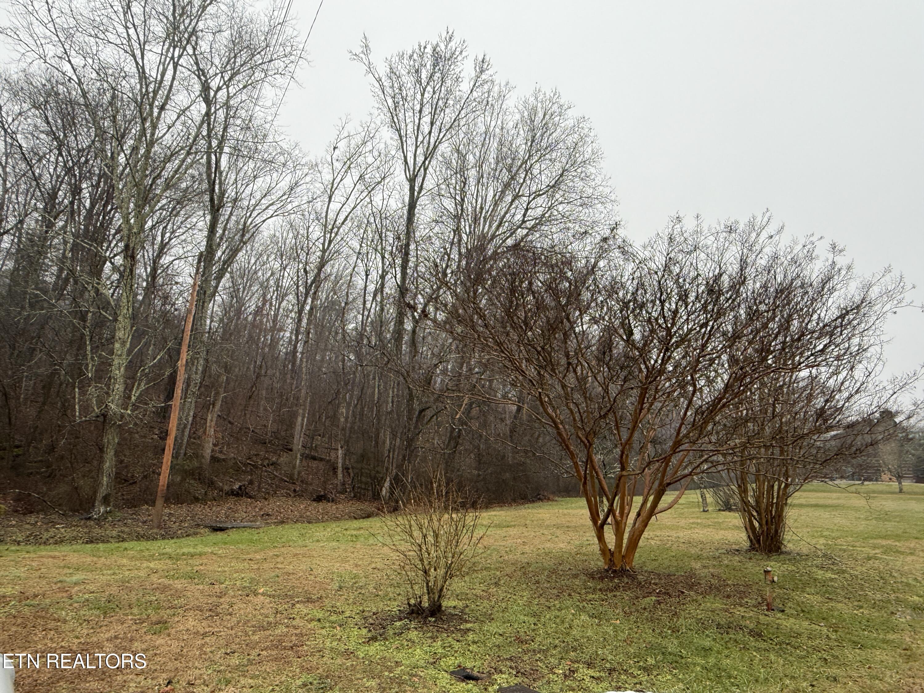 117 Old Buck Creek Road Kingston TN 37763