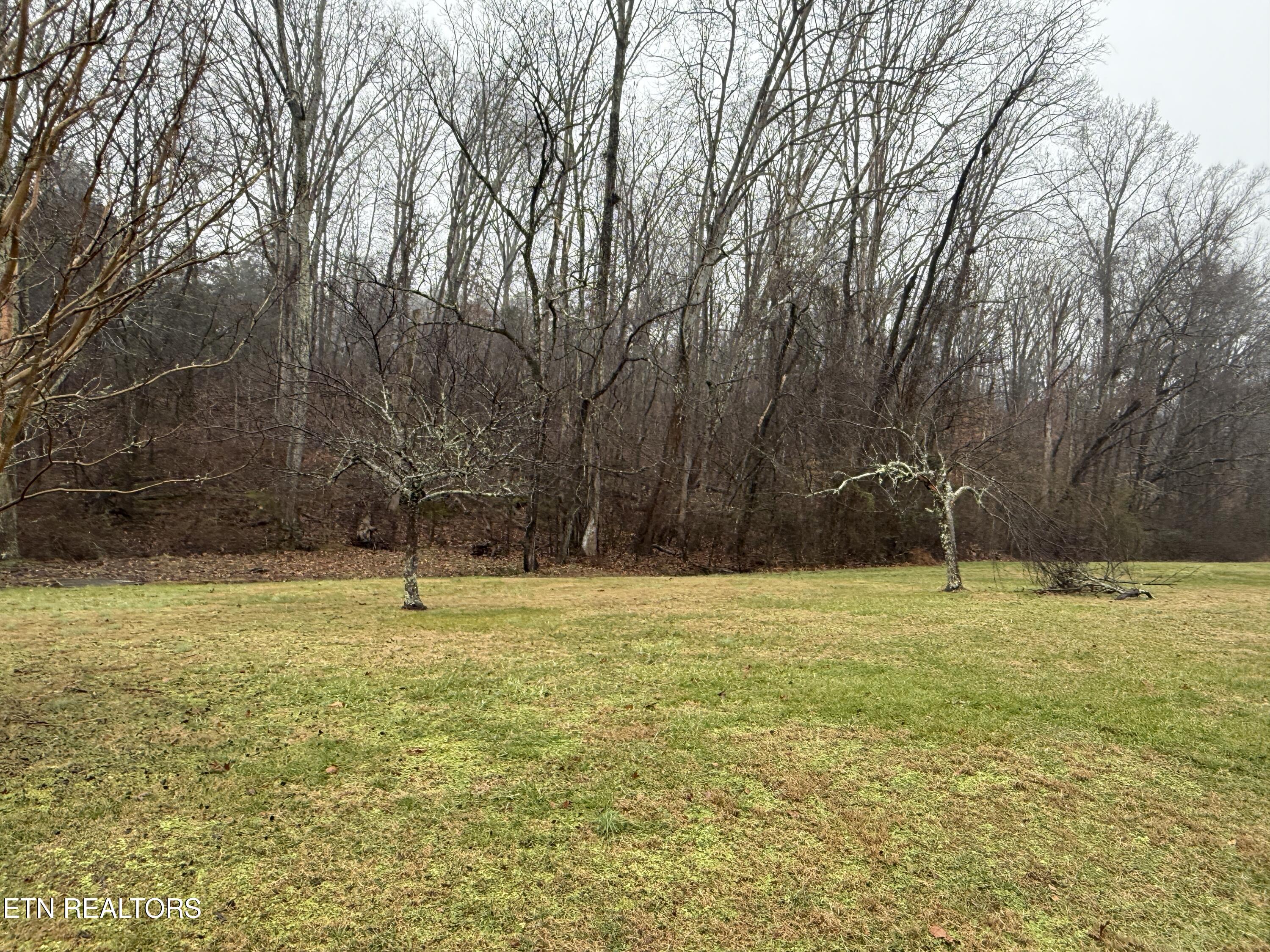 117 Old Buck Creek Road Kingston TN 37763