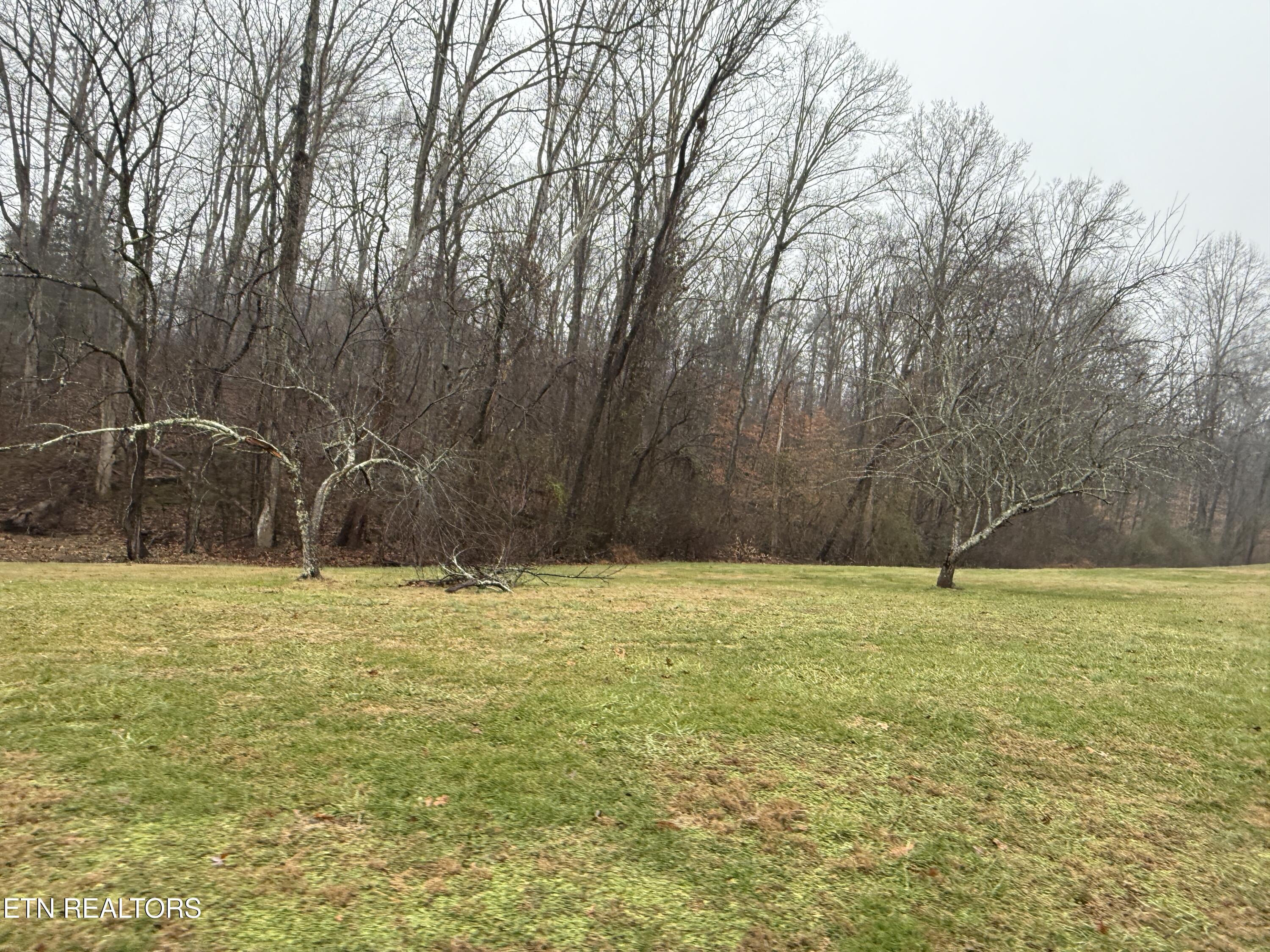 117 Old Buck Creek Road Kingston TN 37763