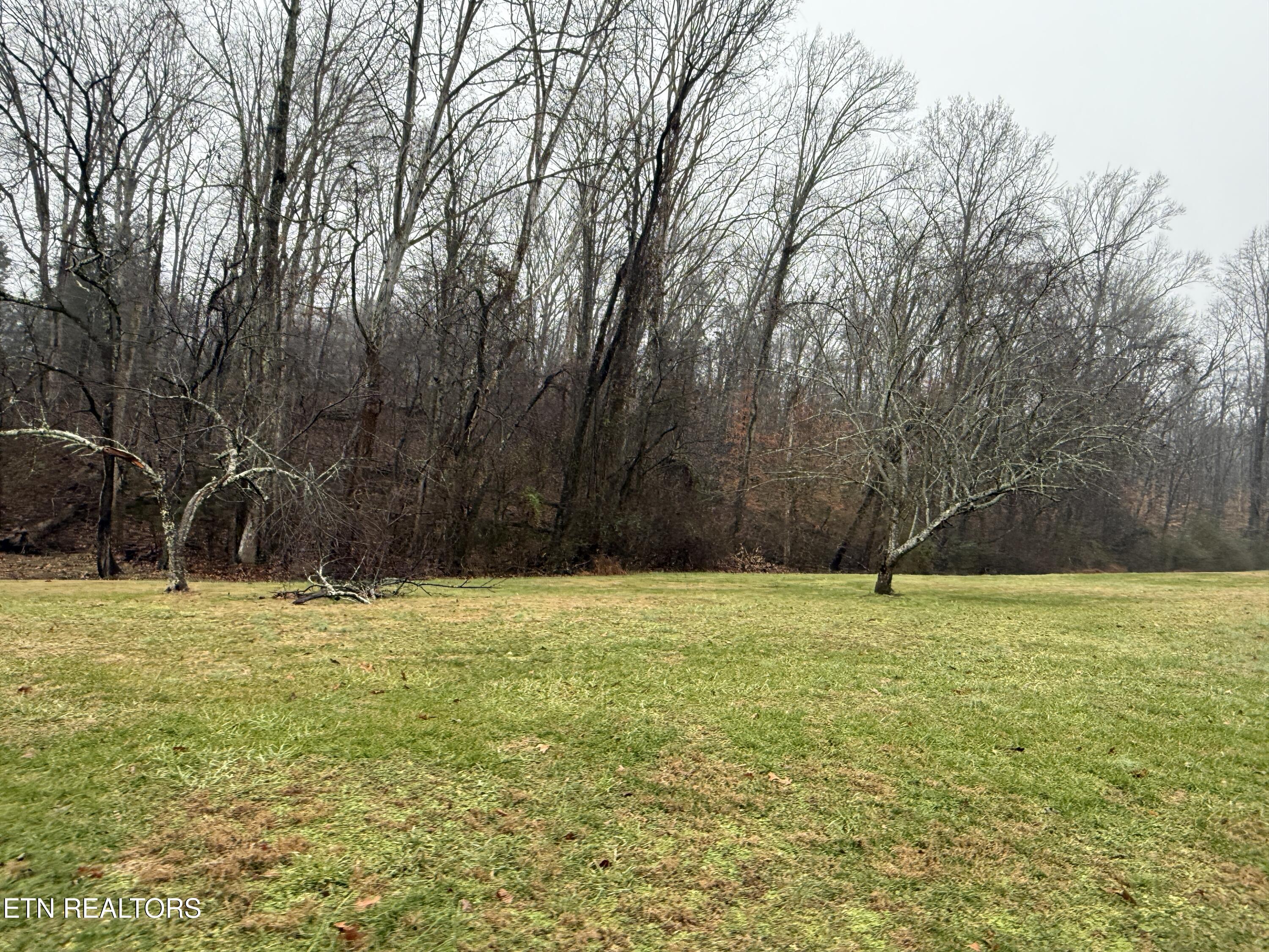 117 Old Buck Creek Road Kingston TN 37763