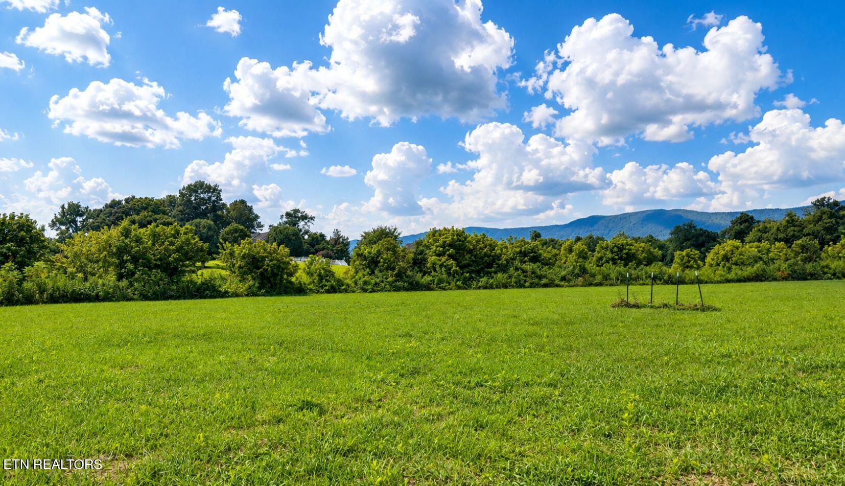 3.2ACRES Tennessee 63 Speedwell TN 37870