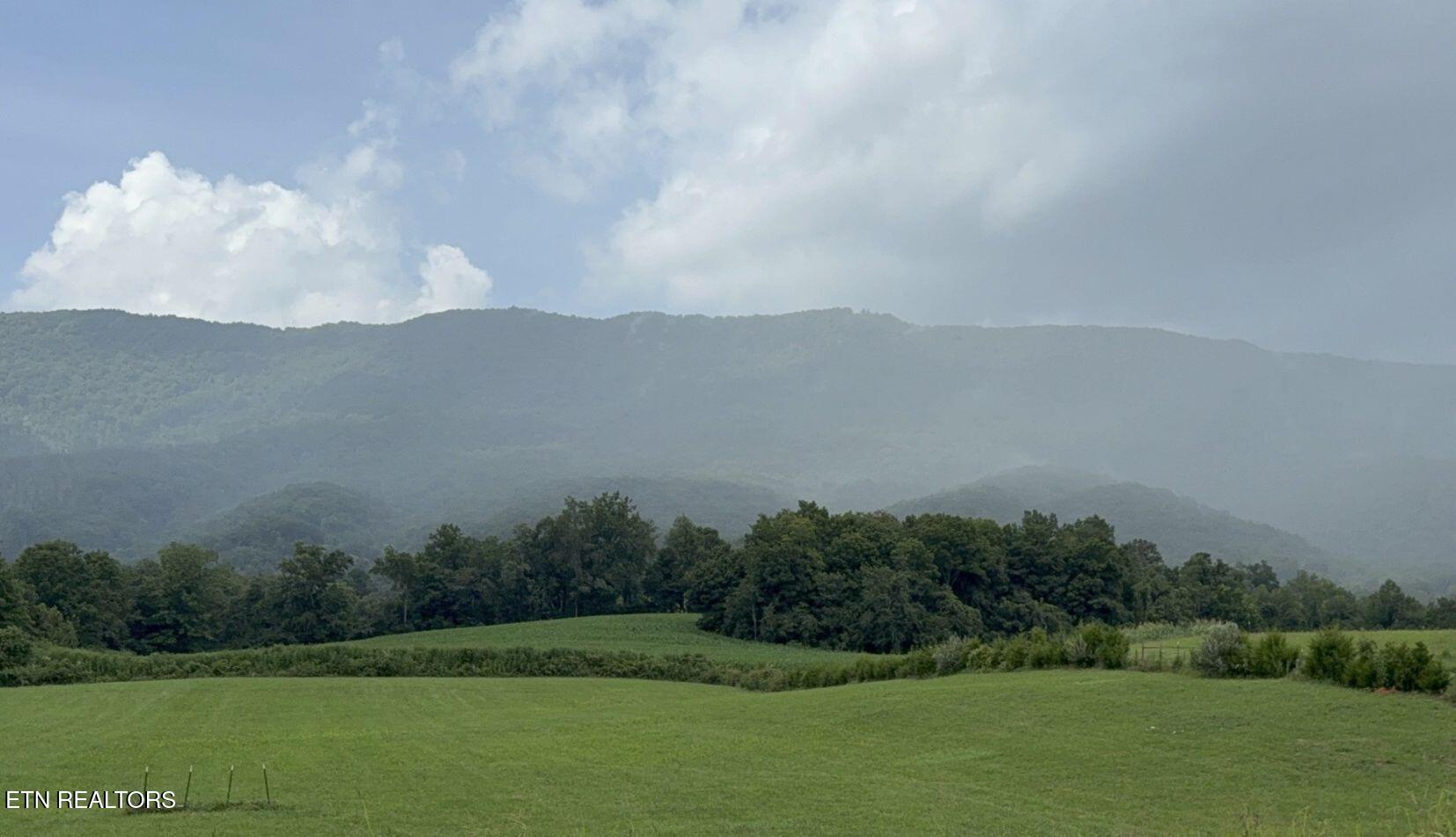 3.2ACRES Tennessee 63 Speedwell TN 37870