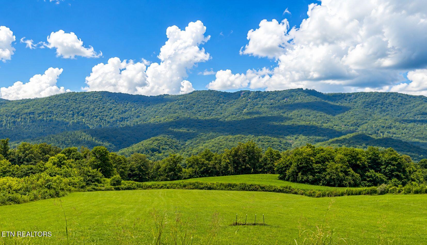 3.2ACRES Tennessee 63 Speedwell TN 37870