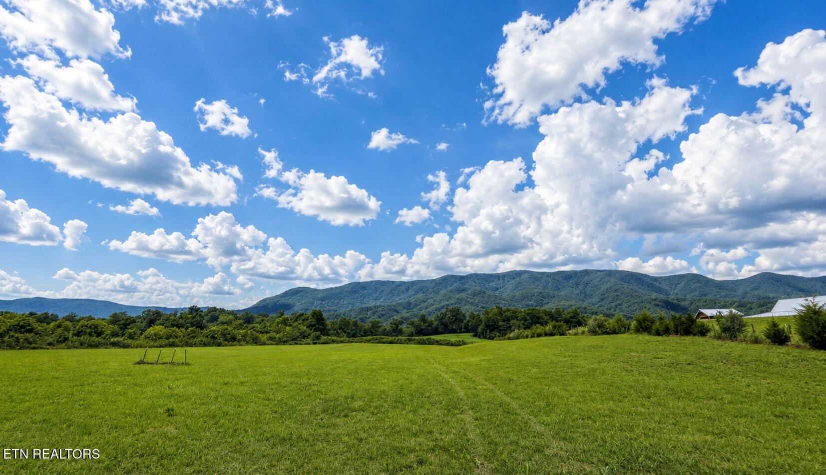 3.2ACRES Tennessee 63 Speedwell TN 37870