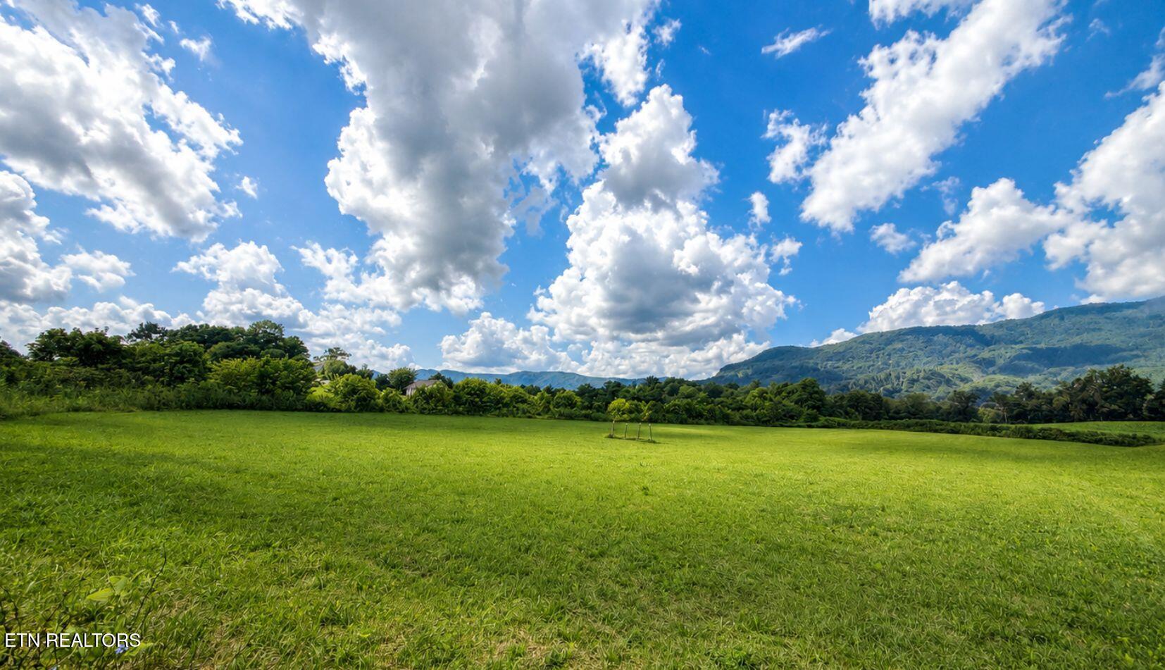 3.2ACRES Tennessee 63 Speedwell TN 37870