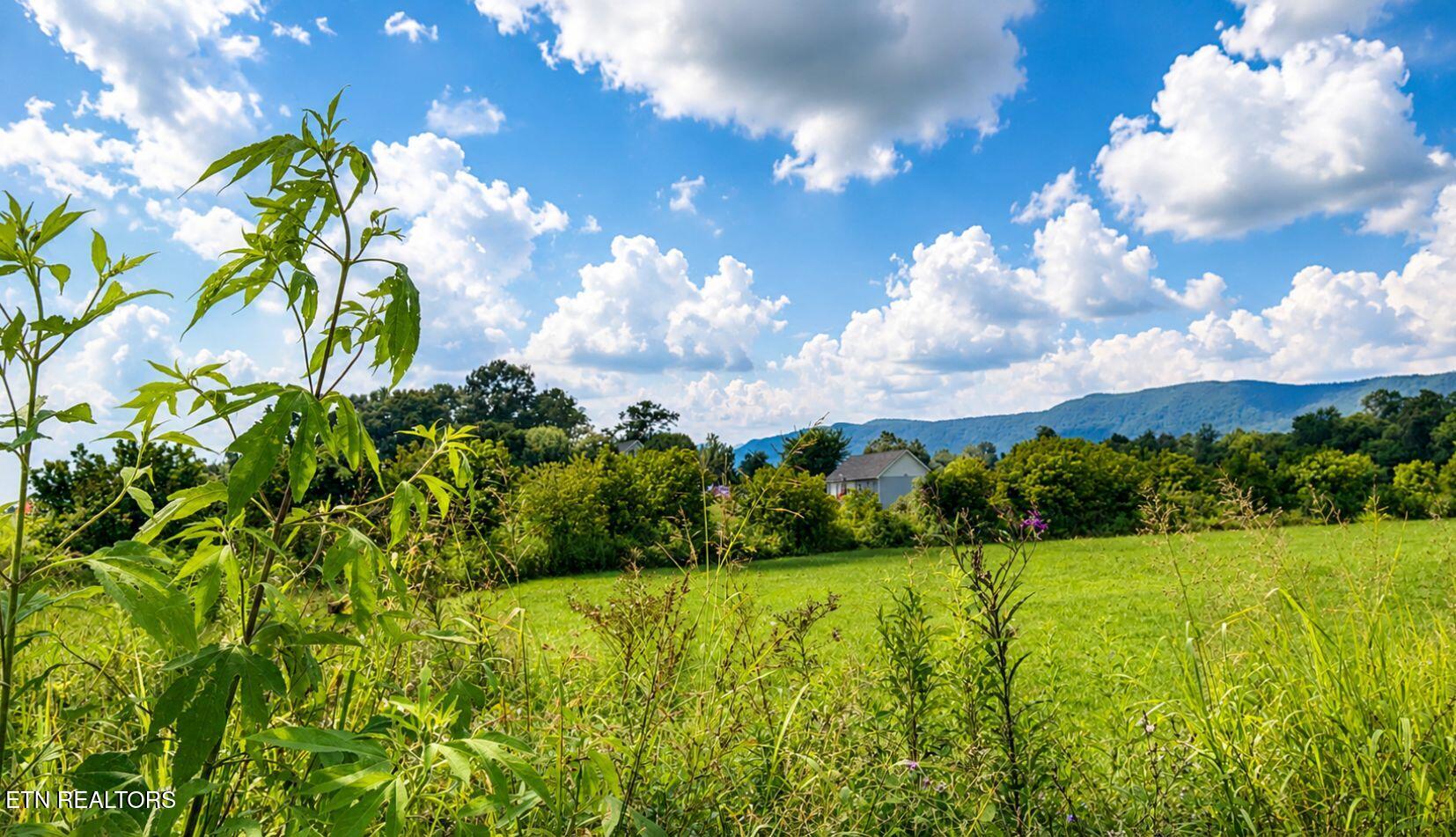 3.2ACRES Tennessee 63 Speedwell TN 37870