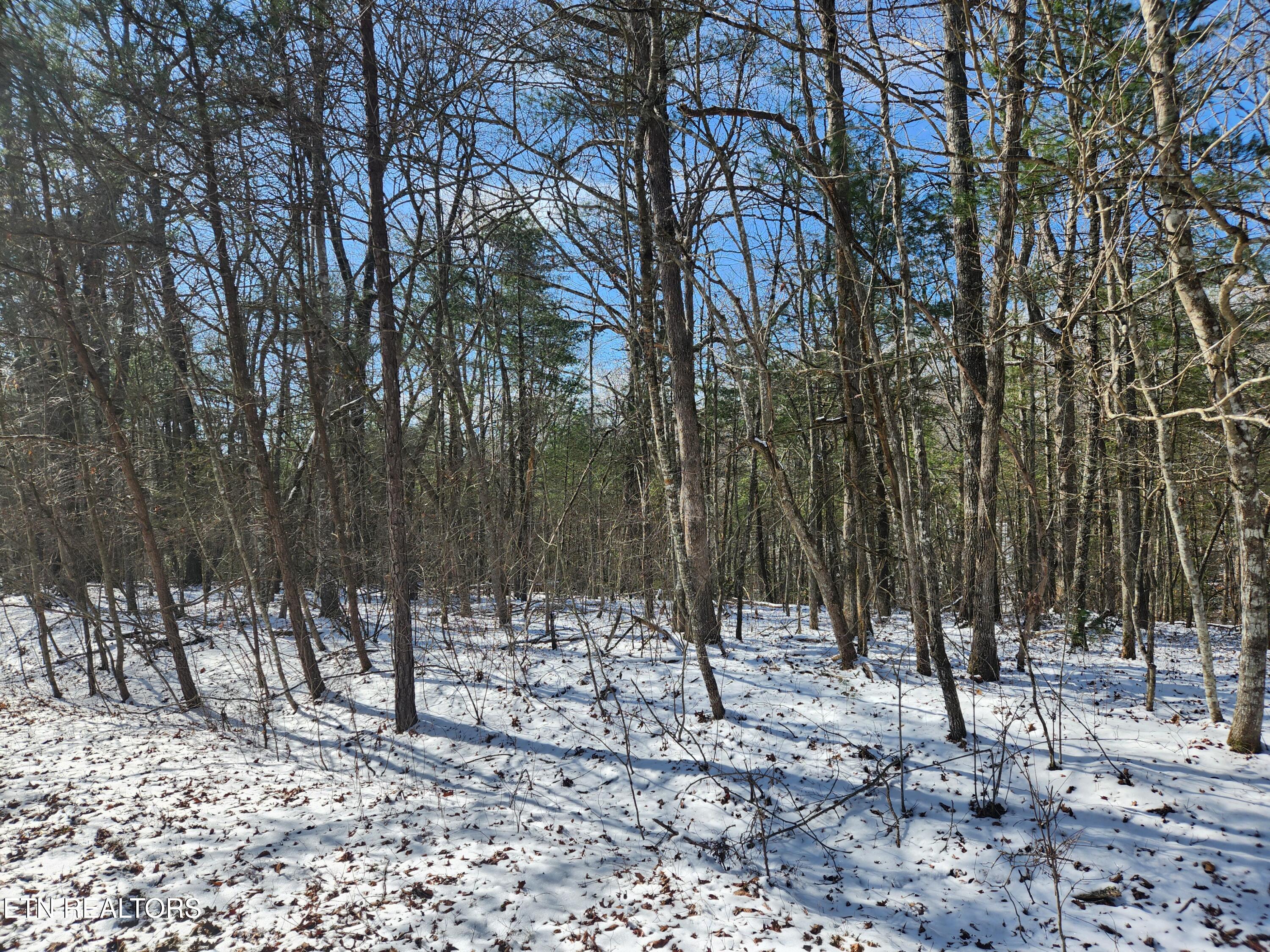 219 Newcastle Lane Crossville TN 38558