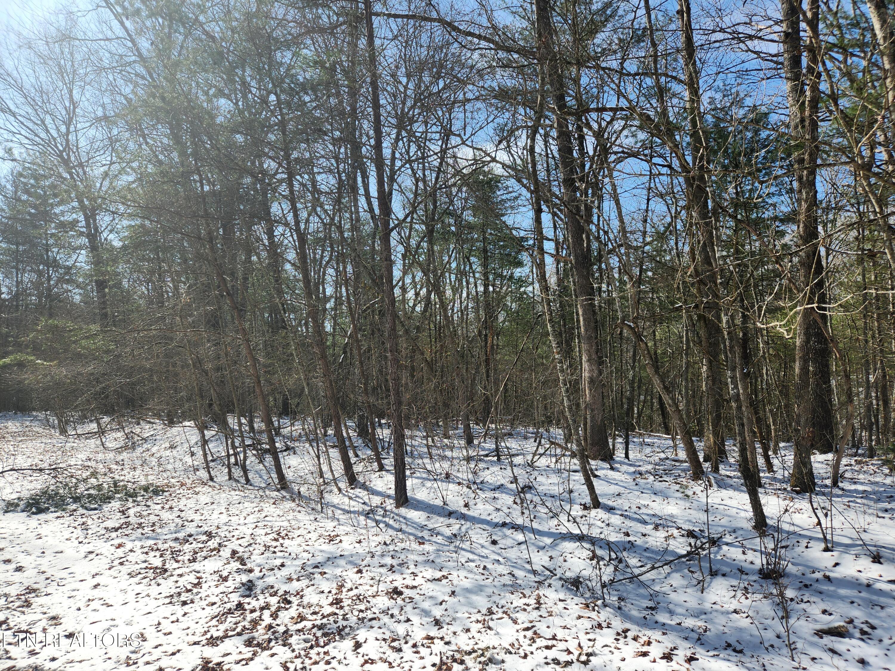 219 Newcastle Lane Crossville TN 38558