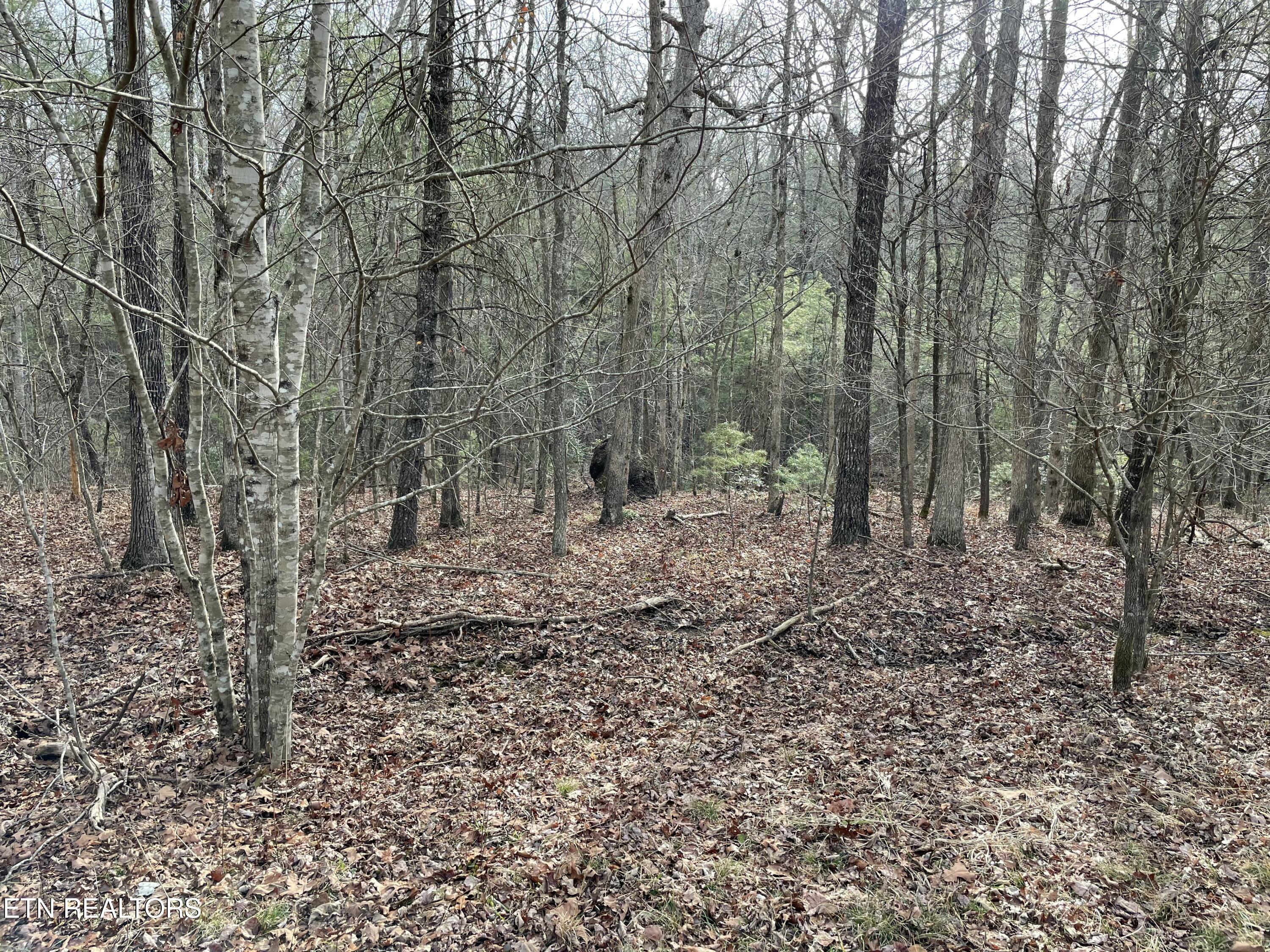 219 Newcastle Lane Crossville TN 38558