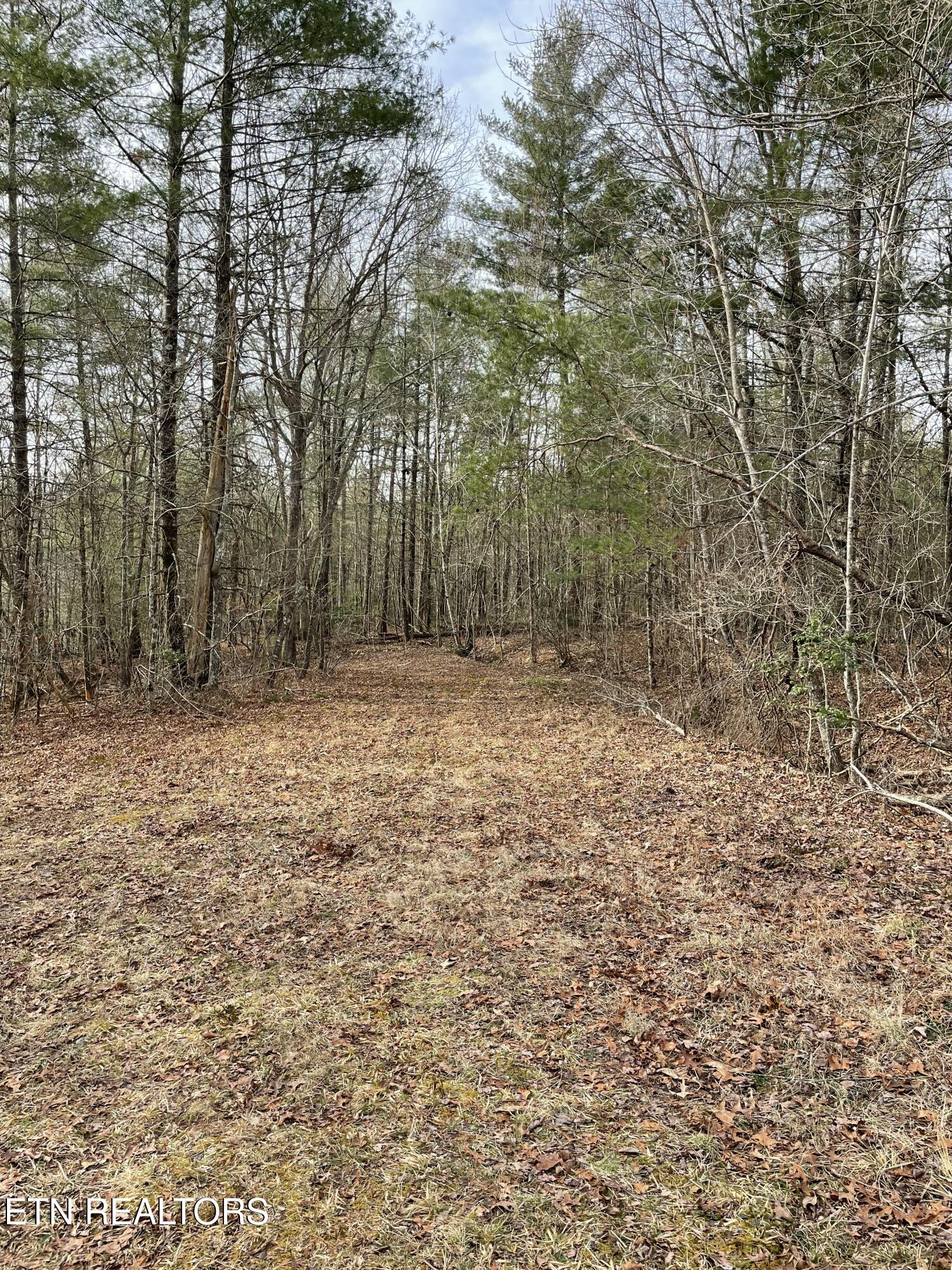 219 Newcastle Lane Crossville TN 38558